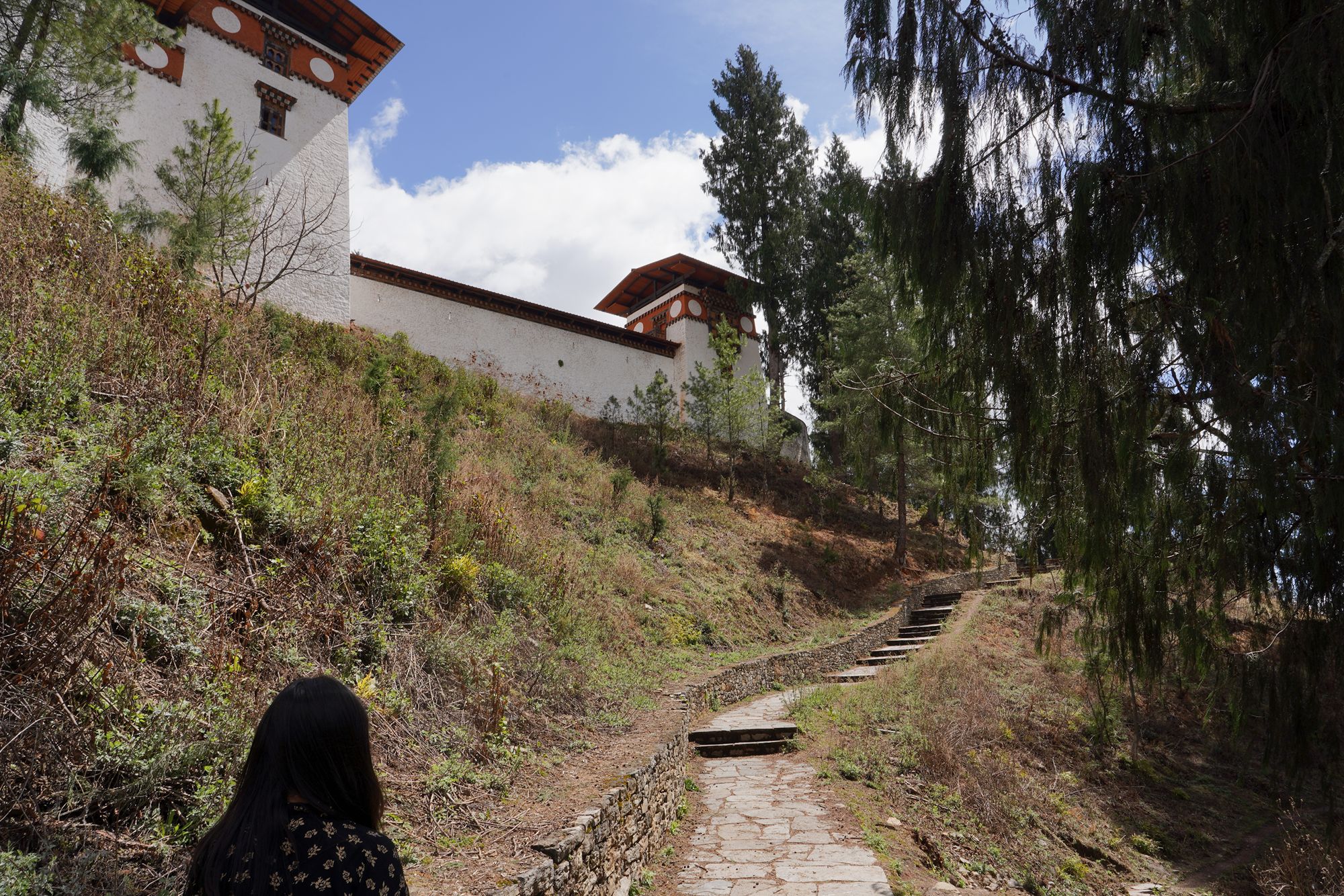 Paro City Walk (50)