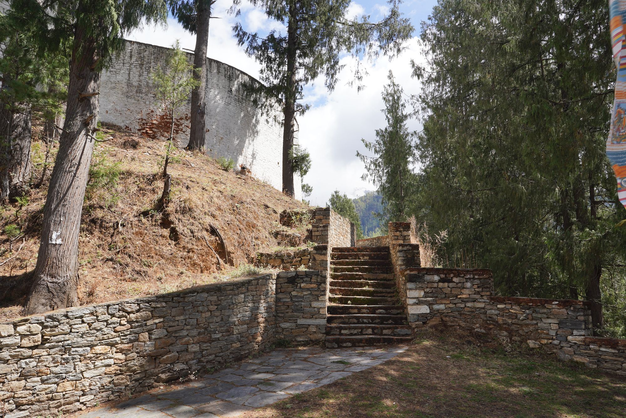 Paro City Walk (54)