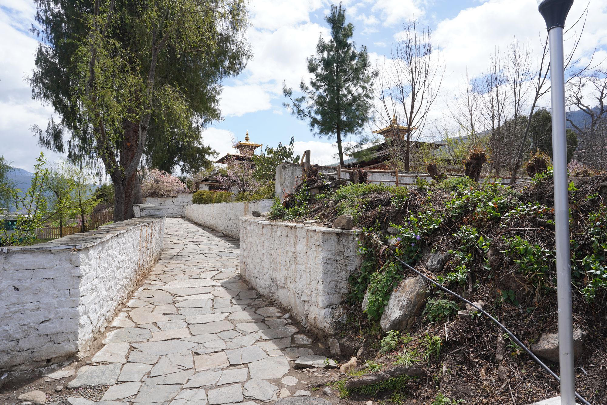 Paro City Walk (56)