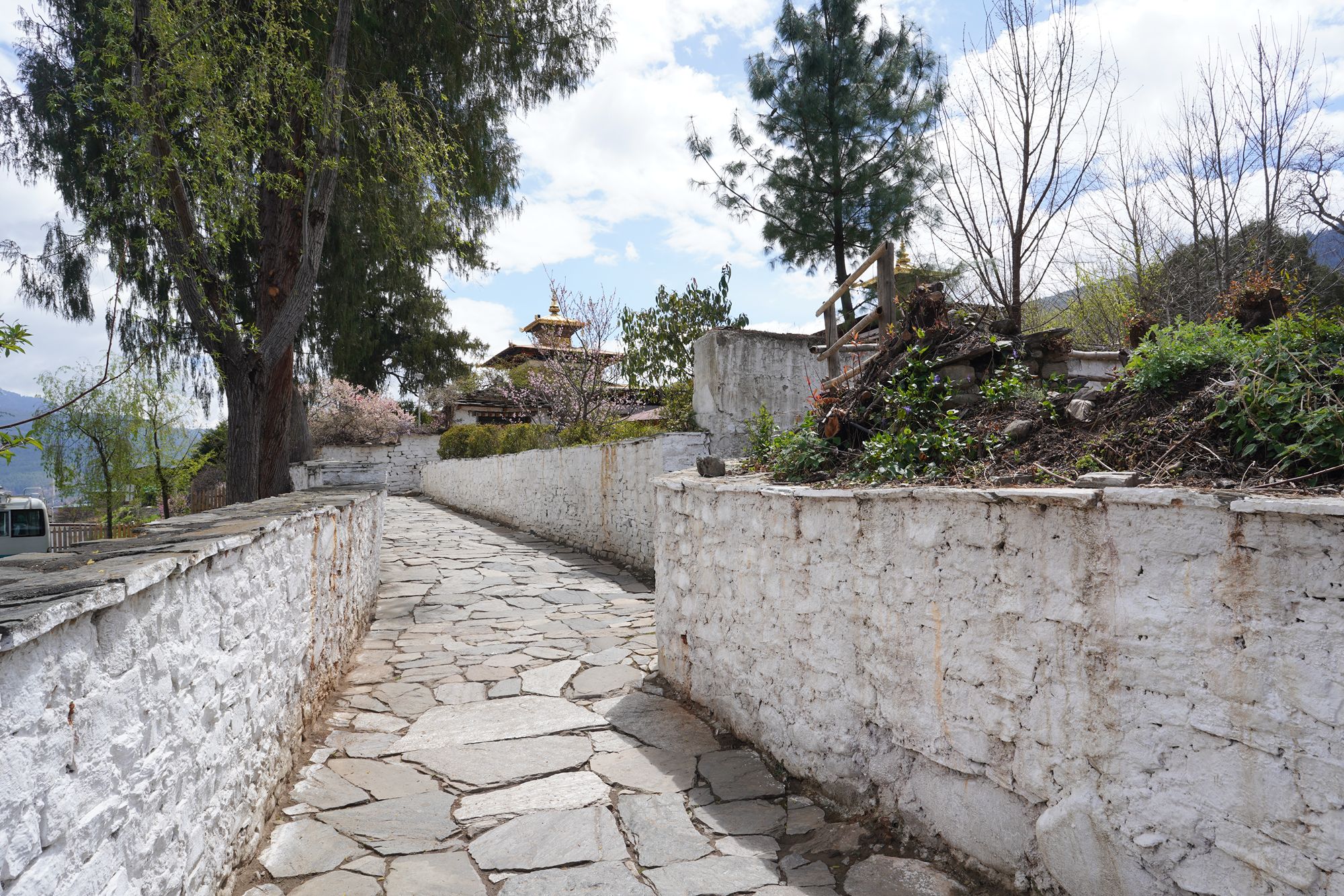 Paro City Walk (57)