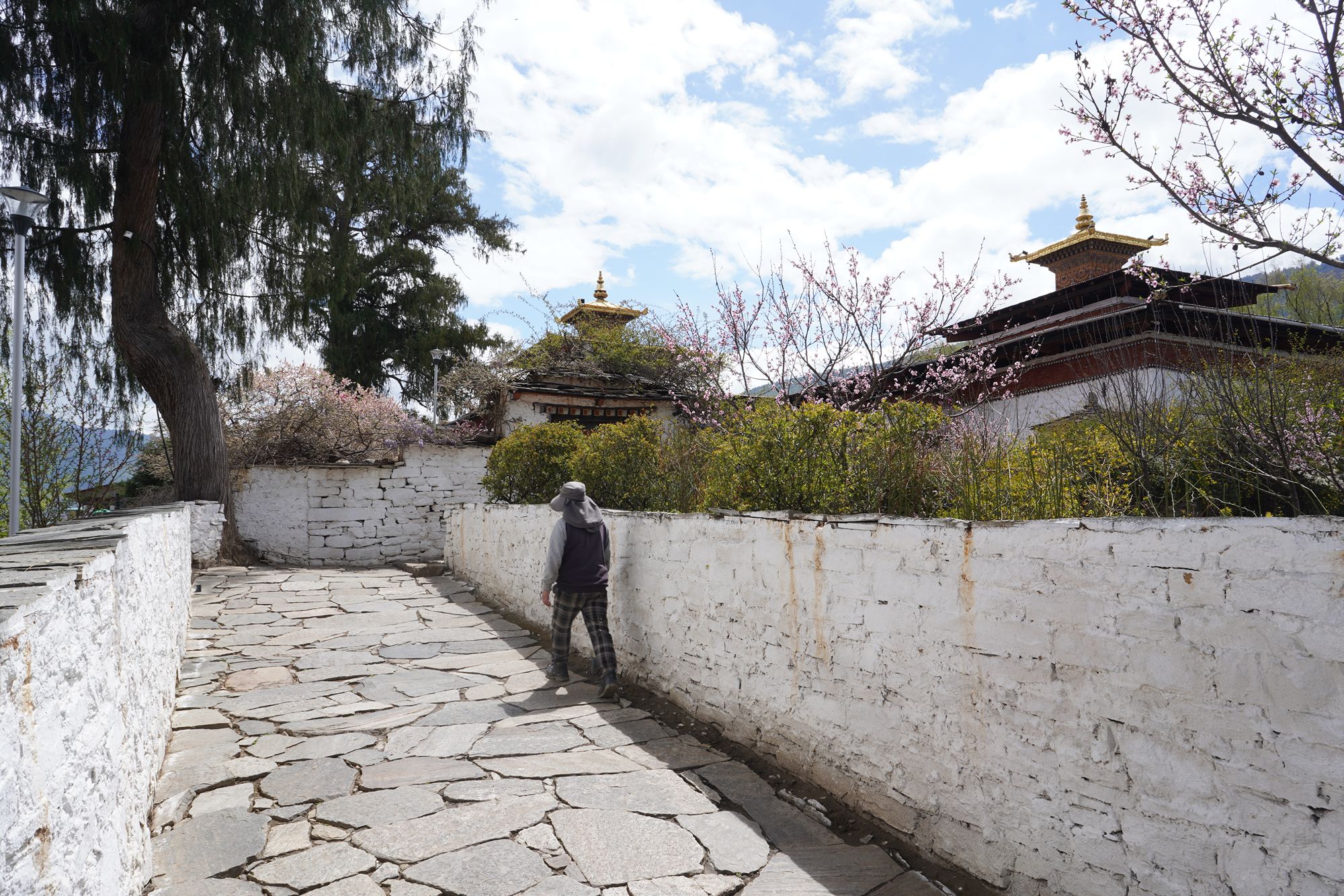 Paro City Walk (58)