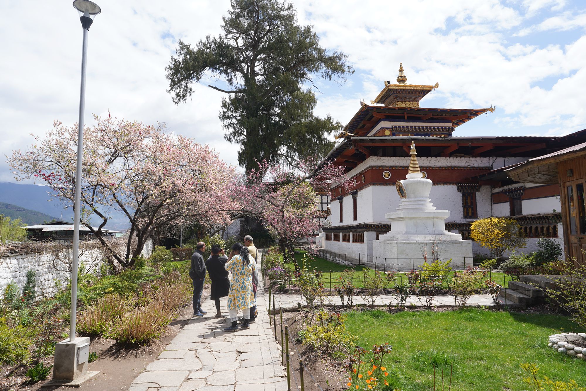 Paro City Walk (59)