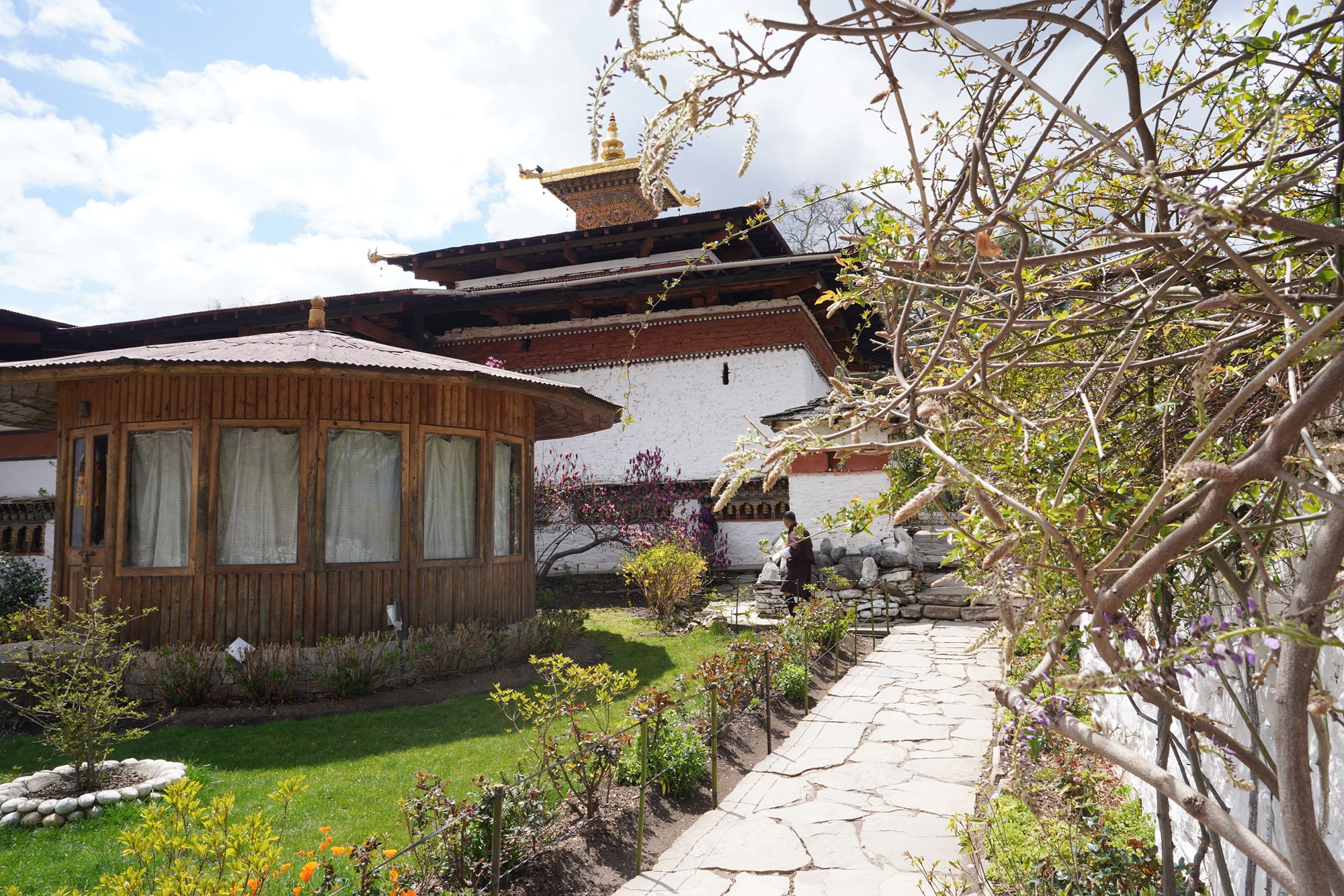 Paro City Walk (62)