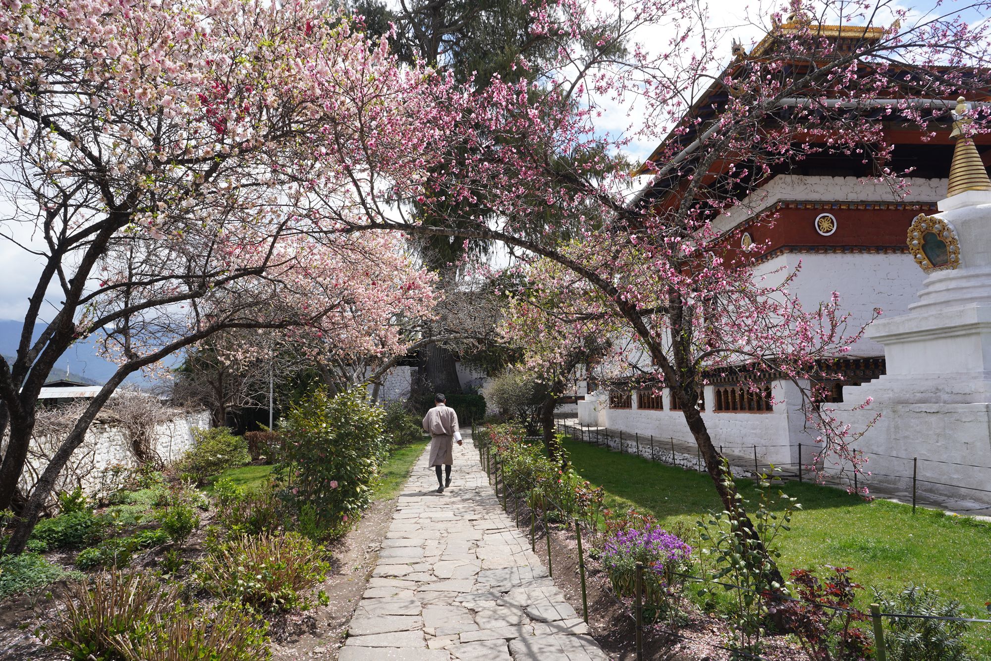 Paro City Walk (64)