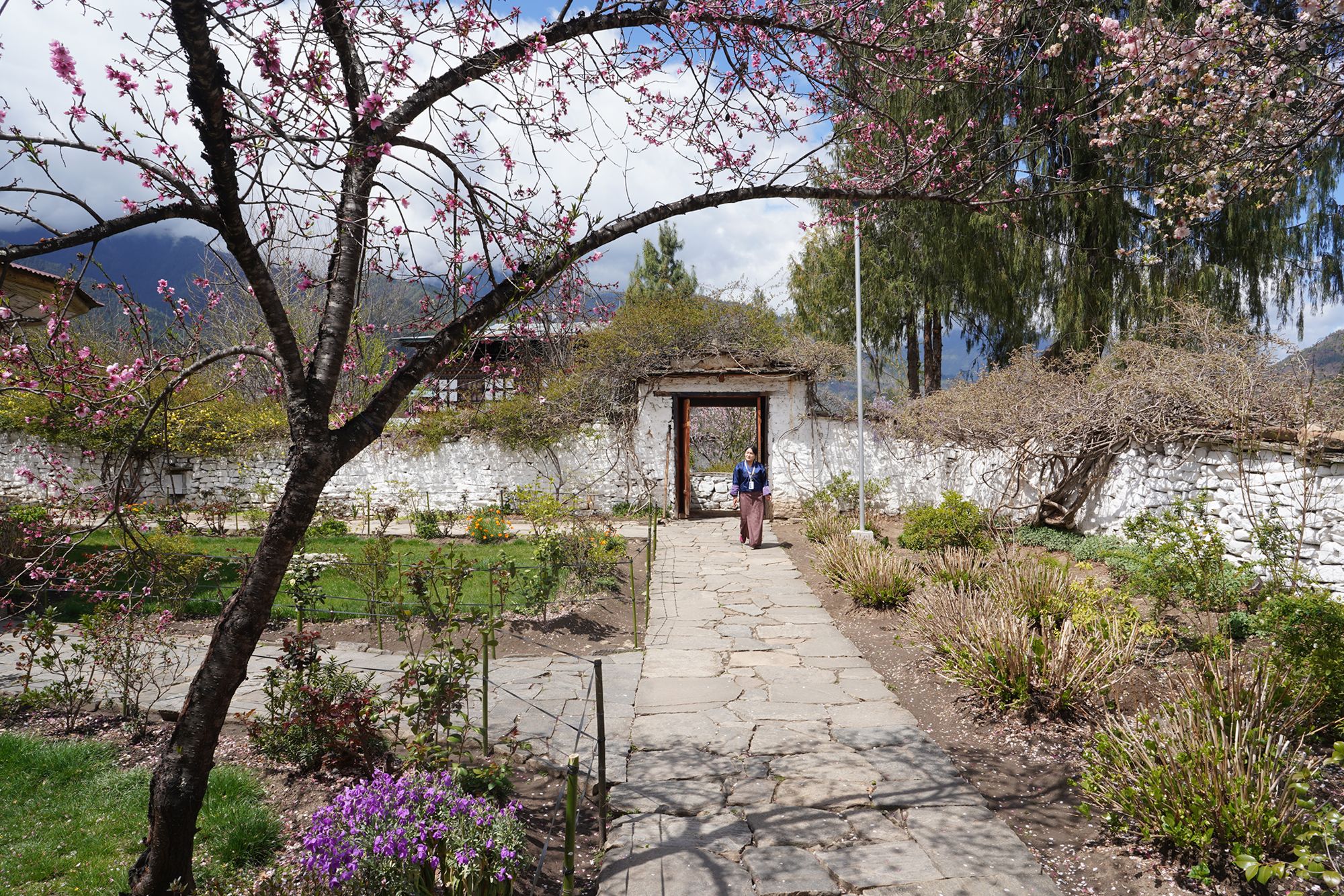 Paro City Walk (68)