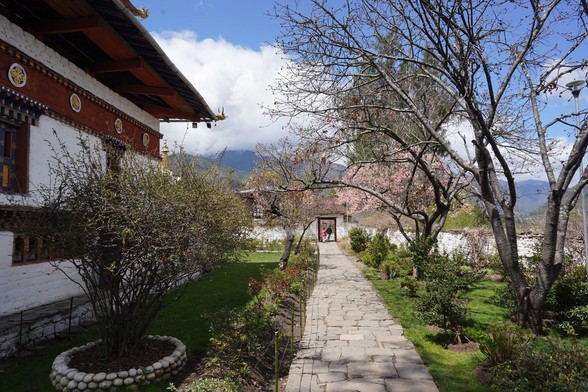 Paro City Walk (71)