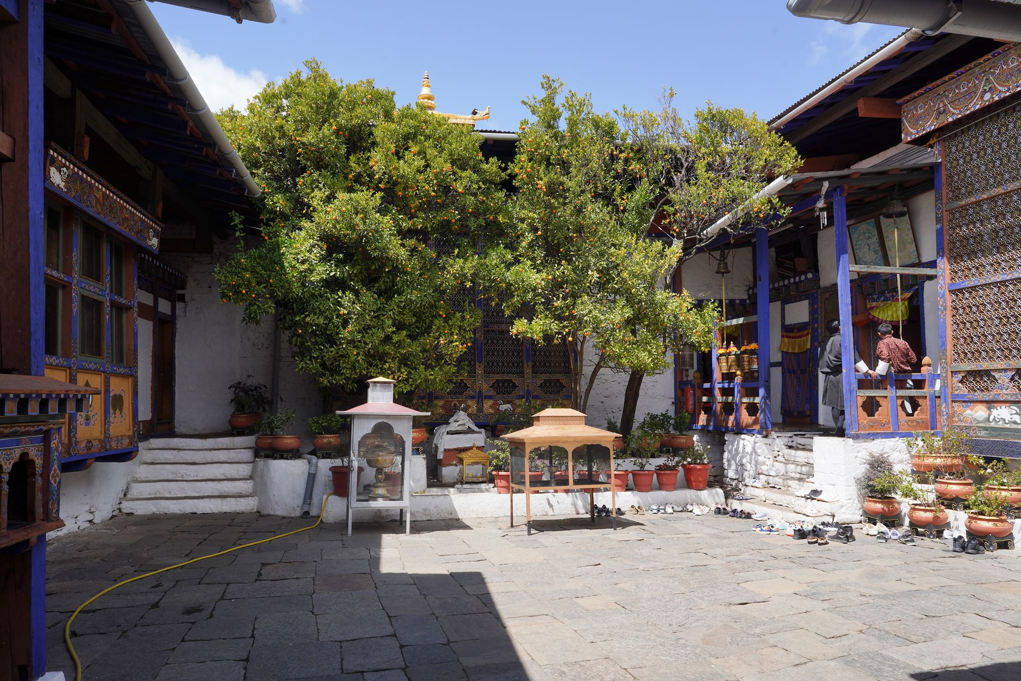 Paro City Walk (78)