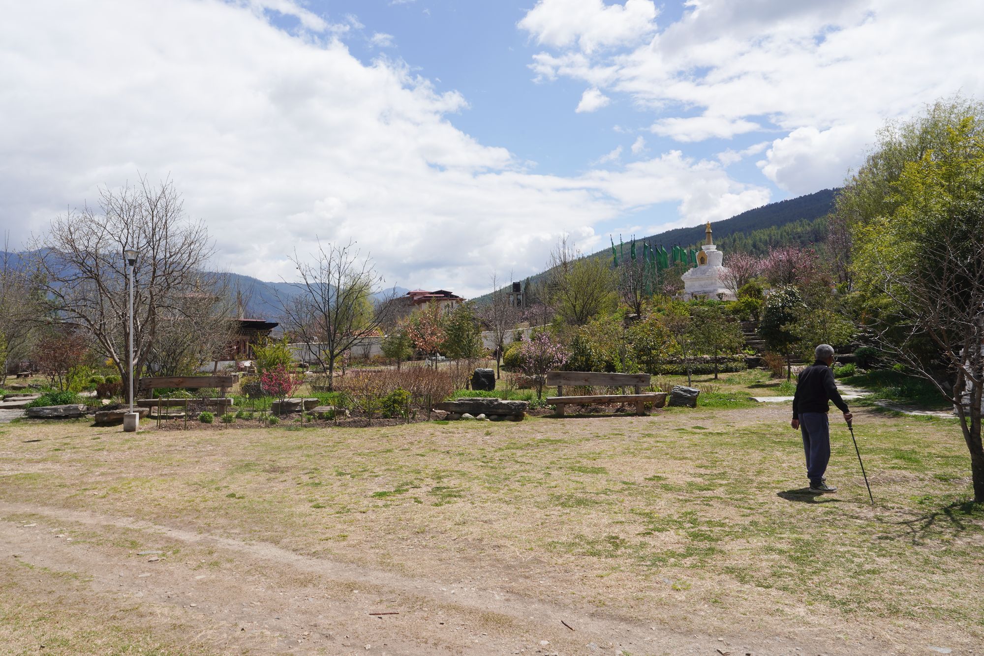 Paro City Walk (81)