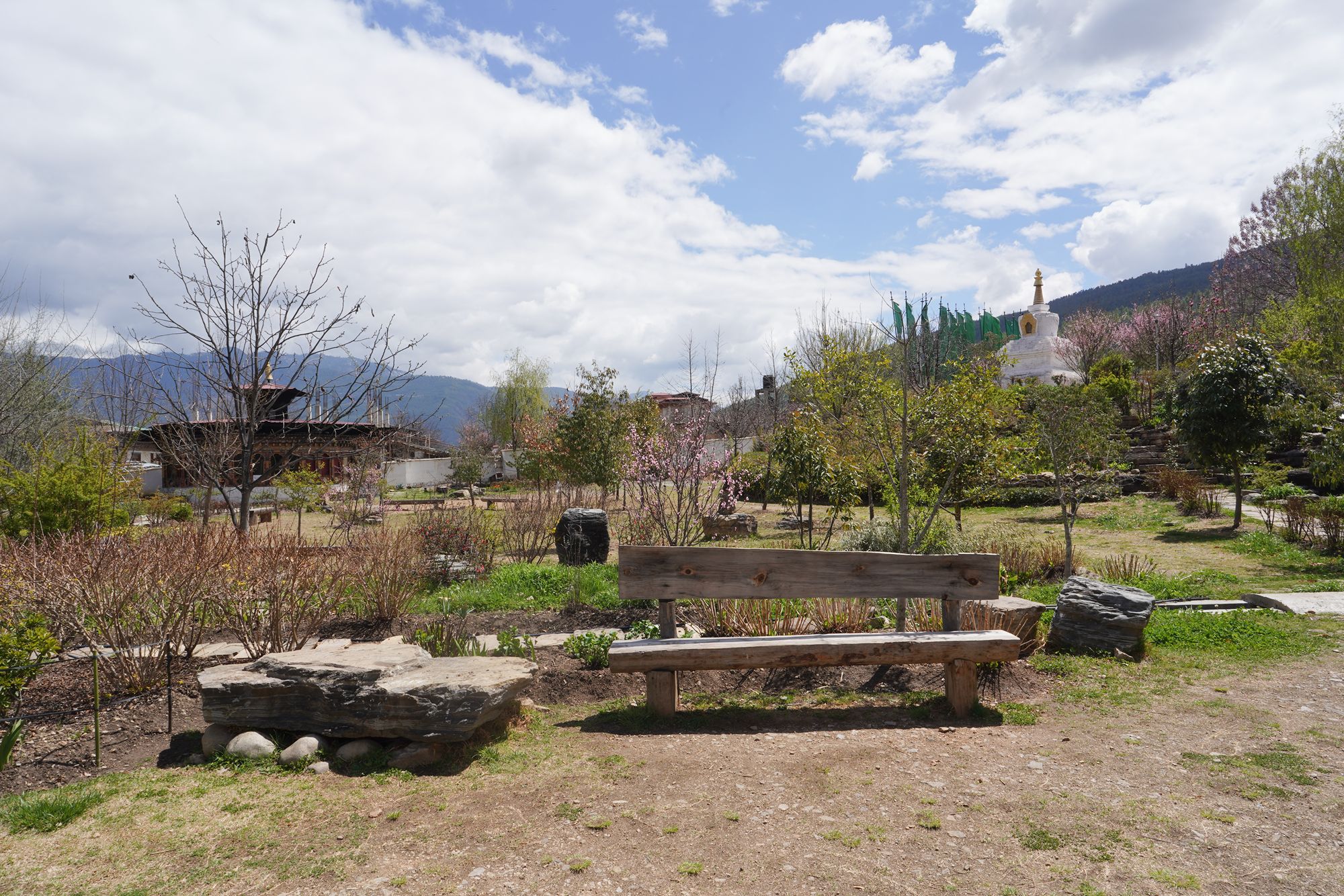 Paro City Walk (82)