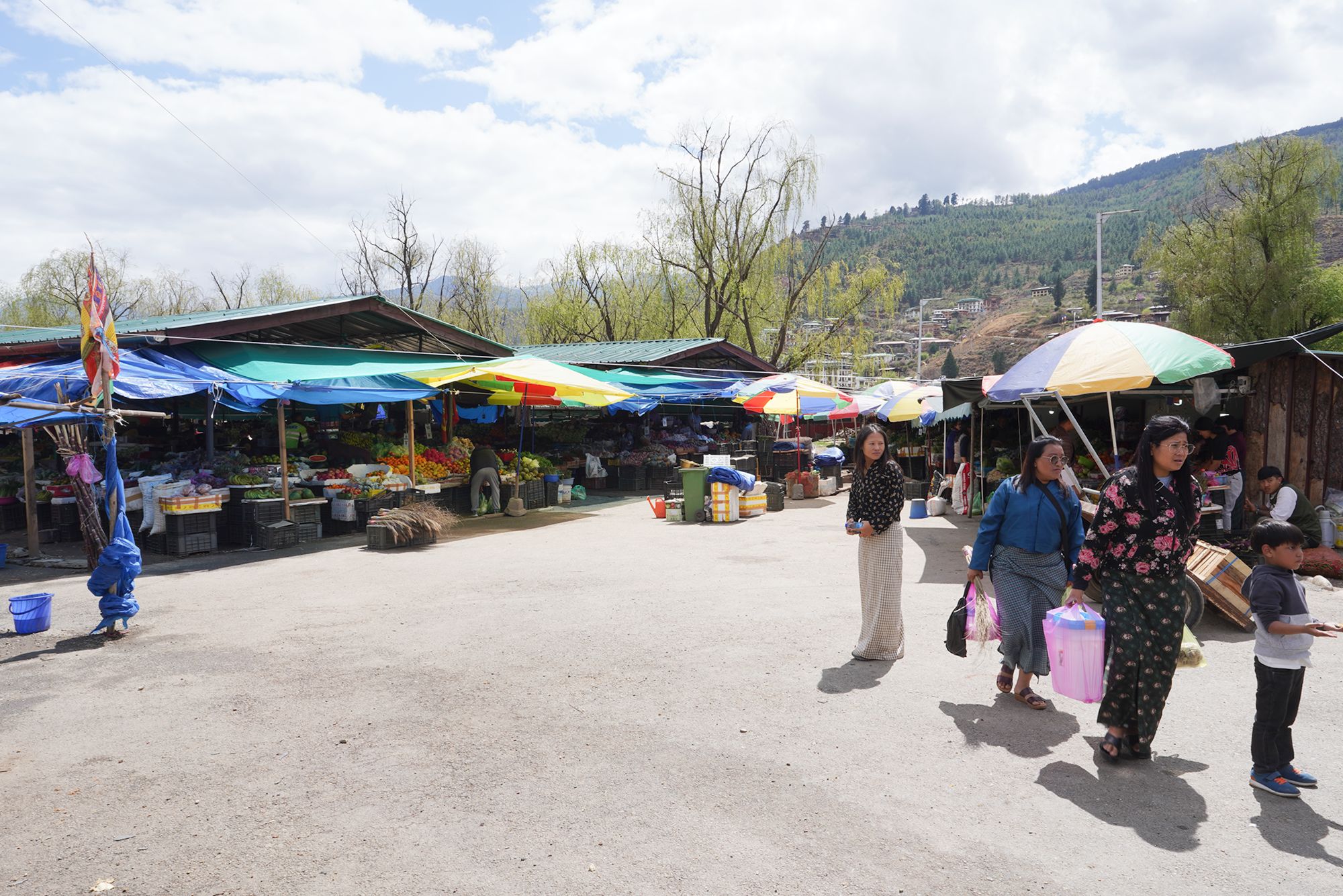 Paro City Walk (87)