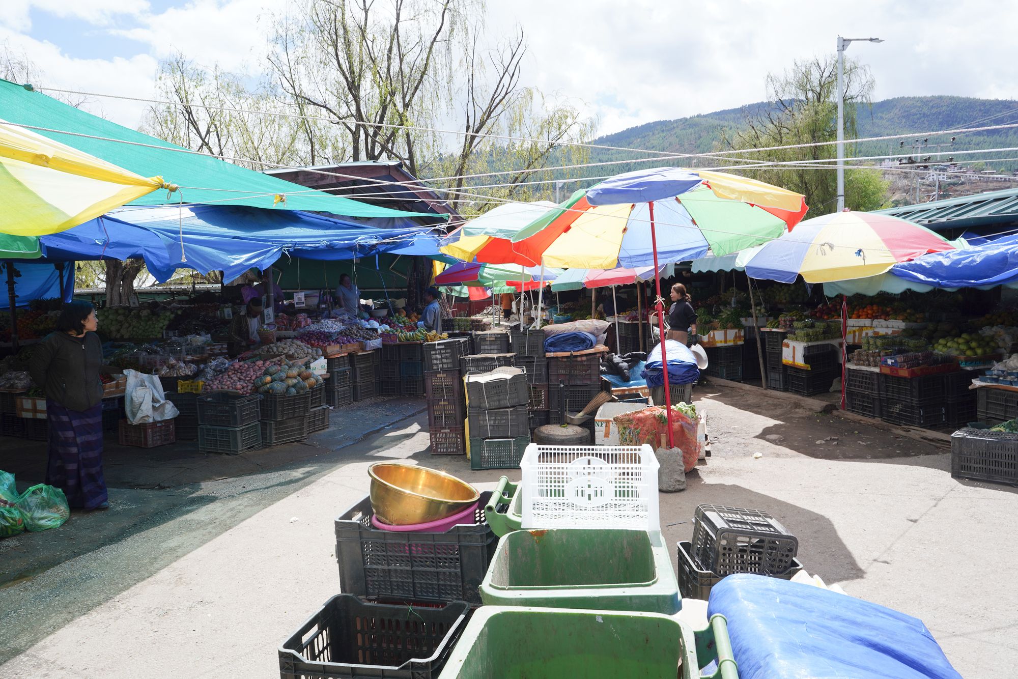 Paro City Walk (89)