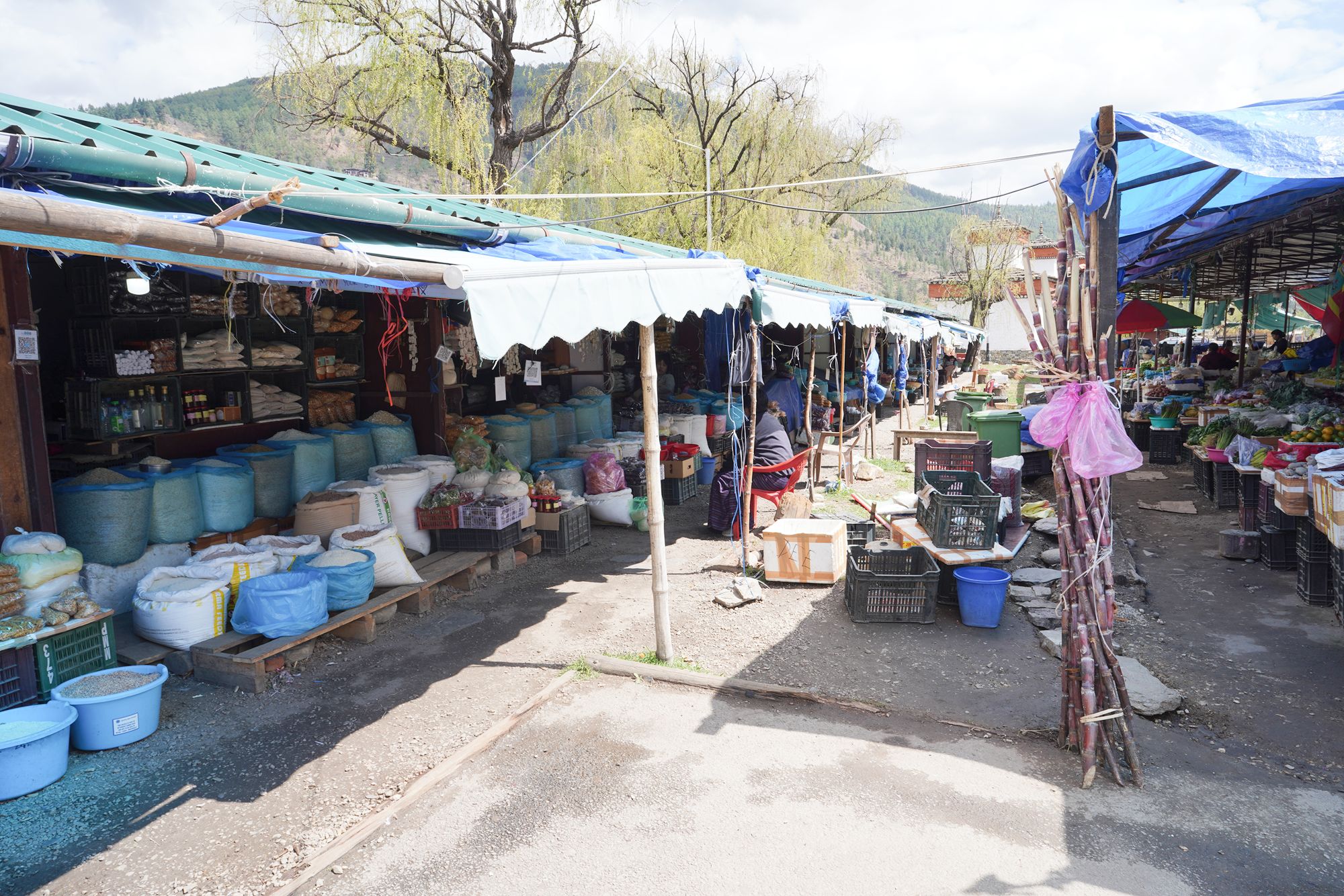 Paro City Walk (90)