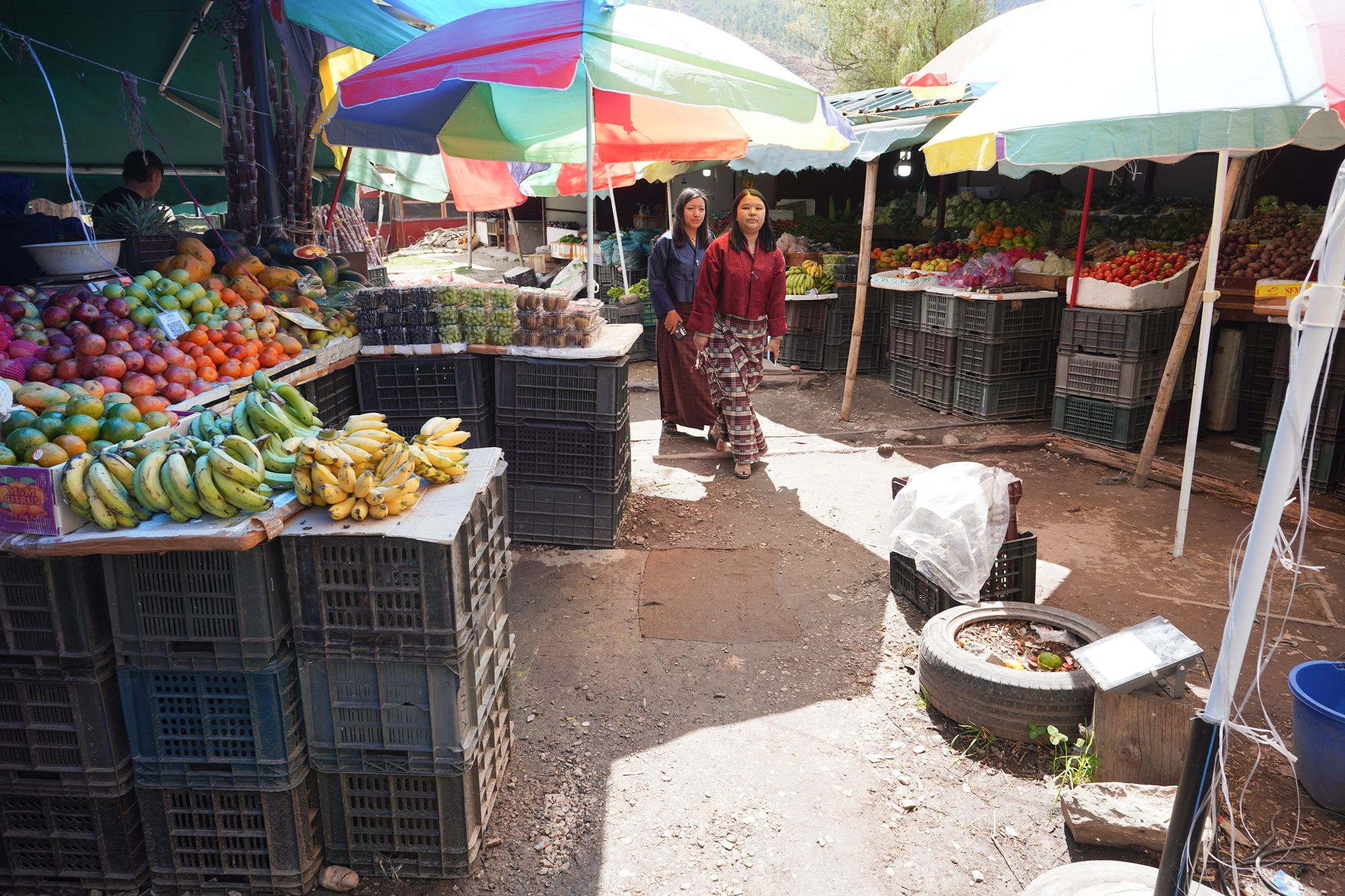 Paro City Walk (99)