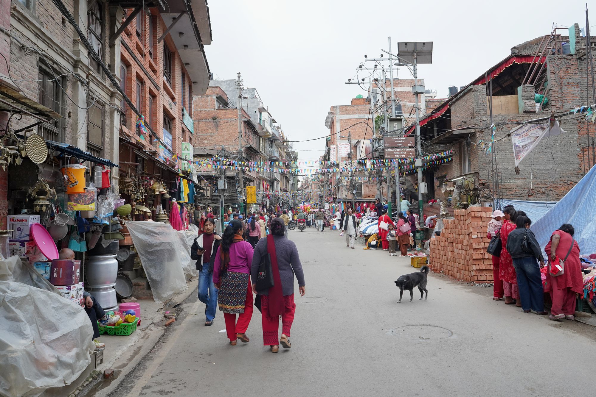 Patan Dubar Square and Market Area (134) Patan Dubar Square and Market Area (134)