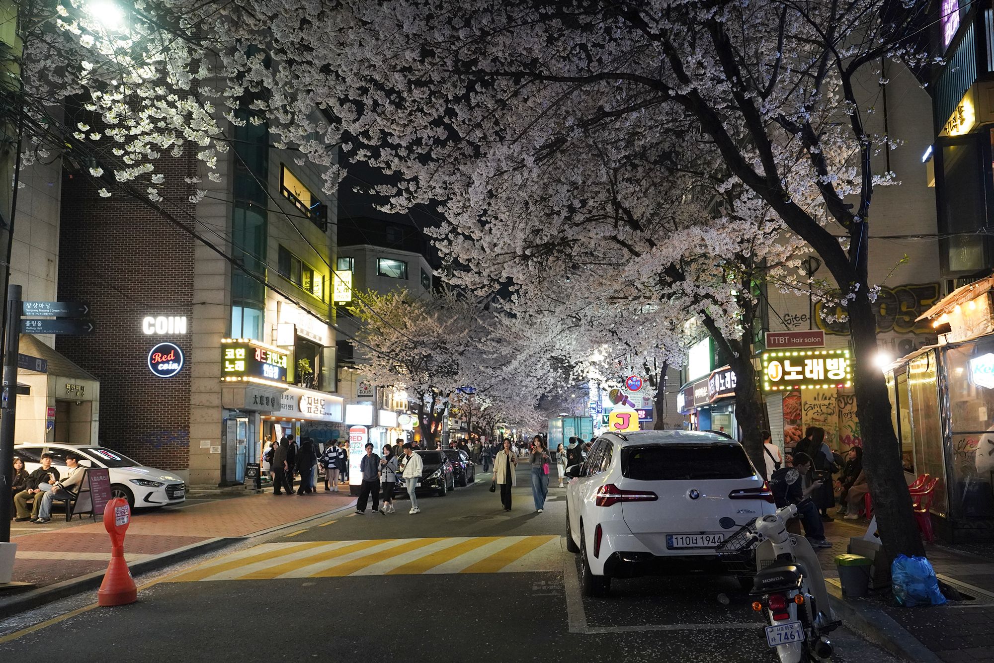Seokchon Lake Cherry Blossom Festival and HongDae (136) Seokchon Lake Cherry Blossom Festival and HongDae (136)