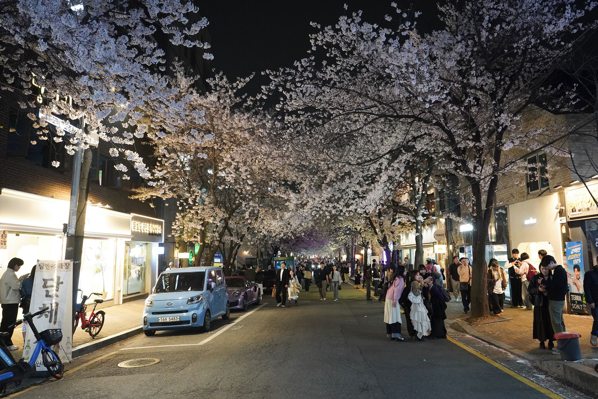 Seokchon Lake Cherry Blossom Festival and HongDae (146) Seokchon Lake Cherry Blossom Festival and HongDae (146)