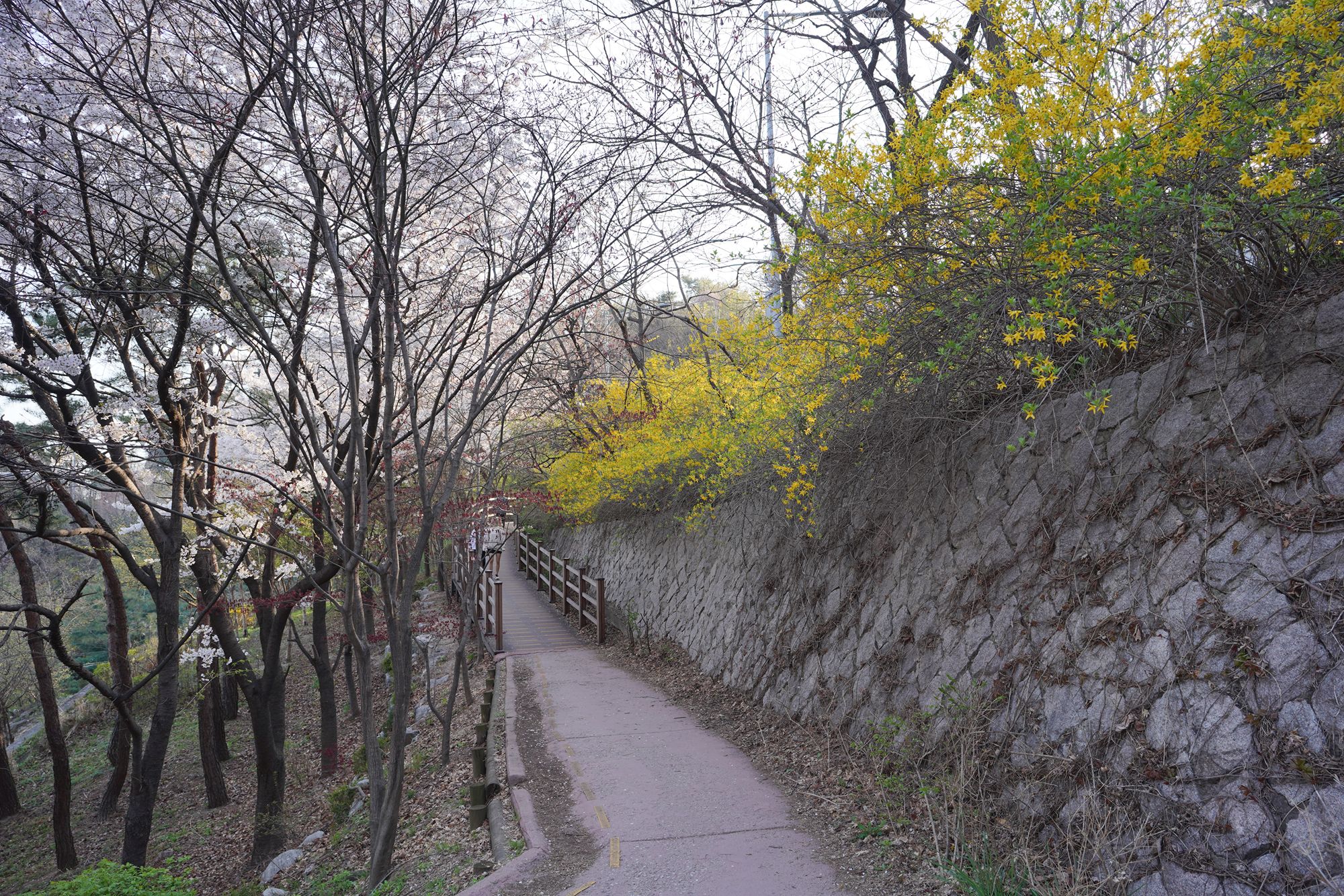 Seoul Buam-dong Walk (78) Seoul Buam-dong Walk (78)