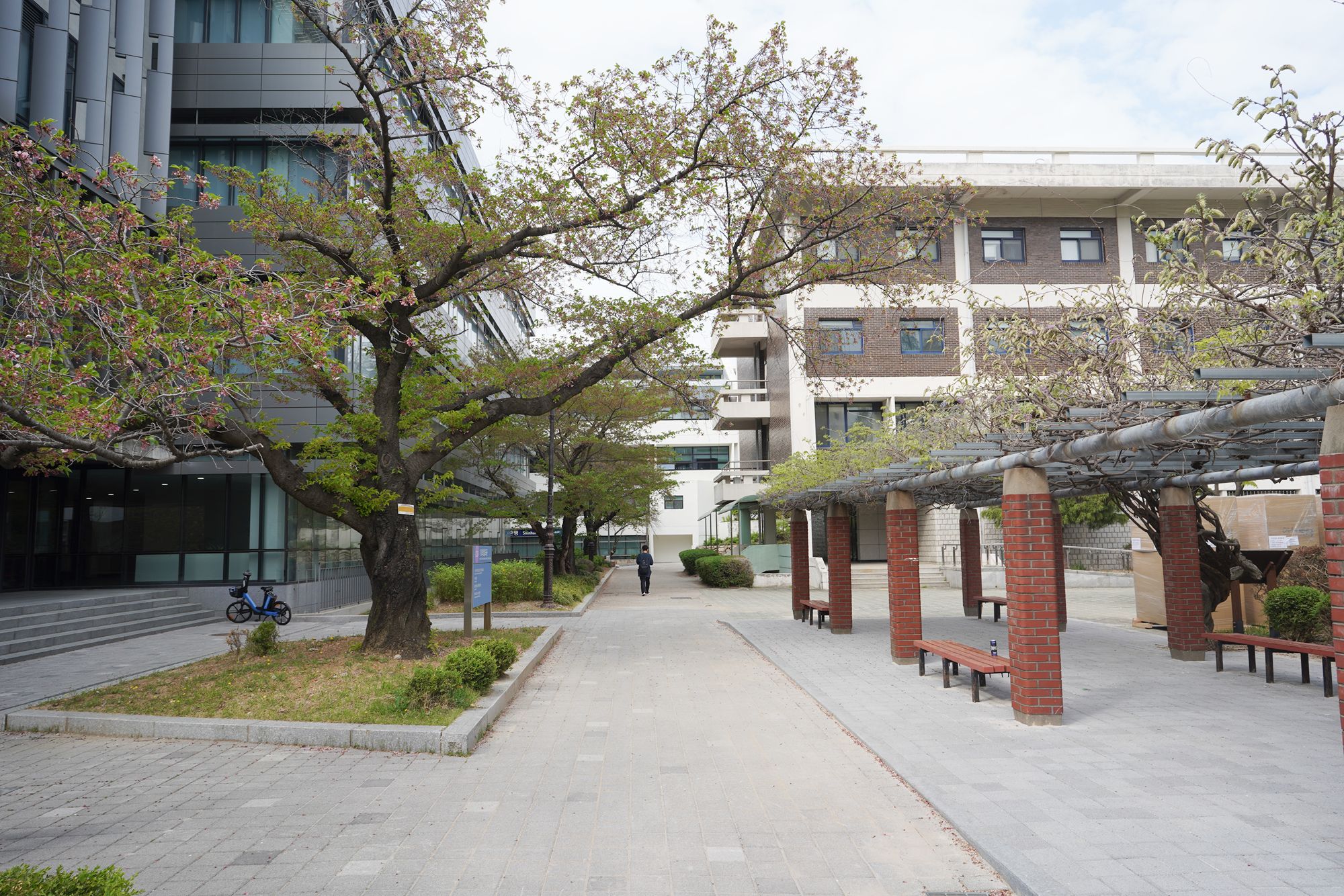 Seoul National University (11) Seoul National University (11)