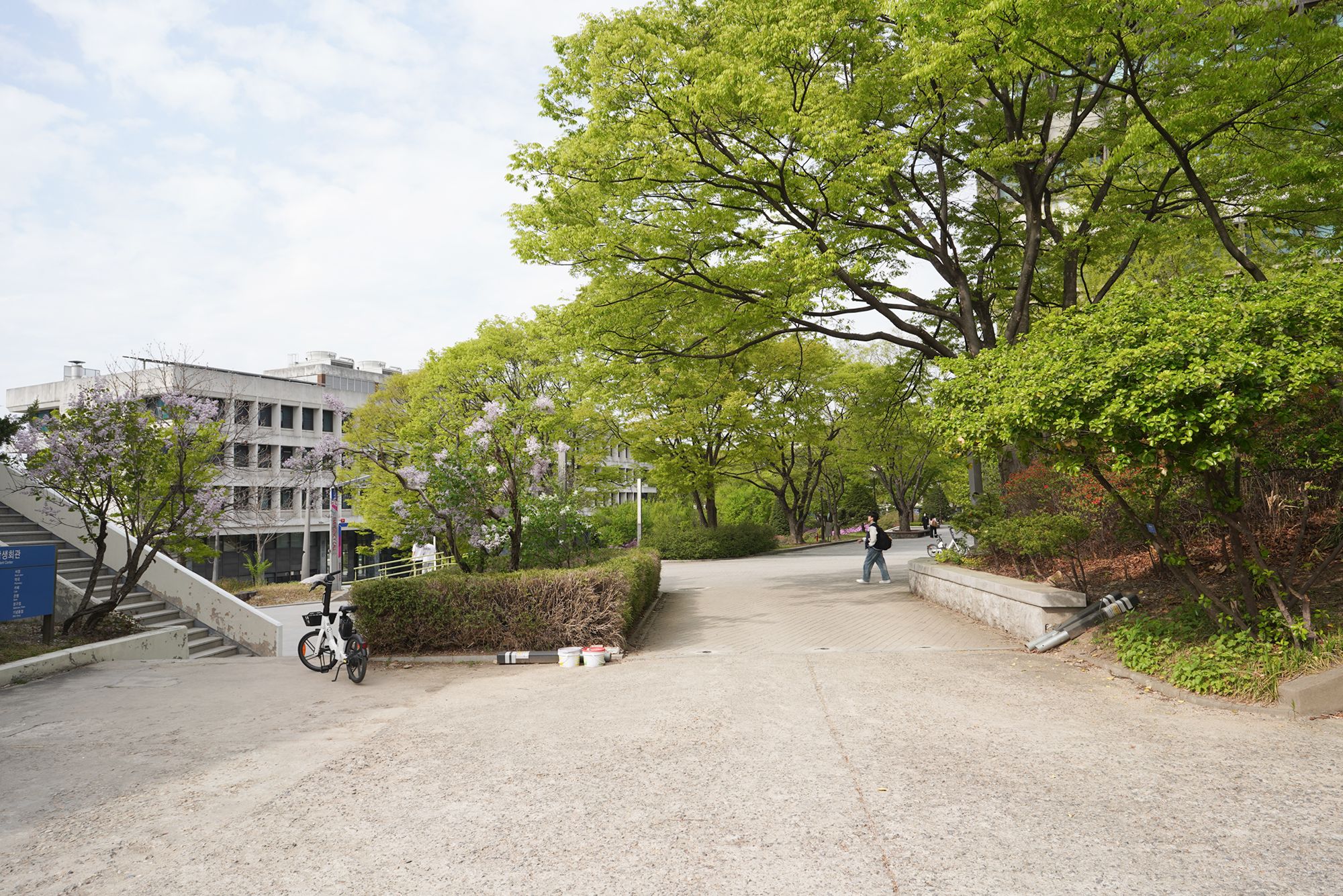 Seoul National University (14) Seoul National University (14)