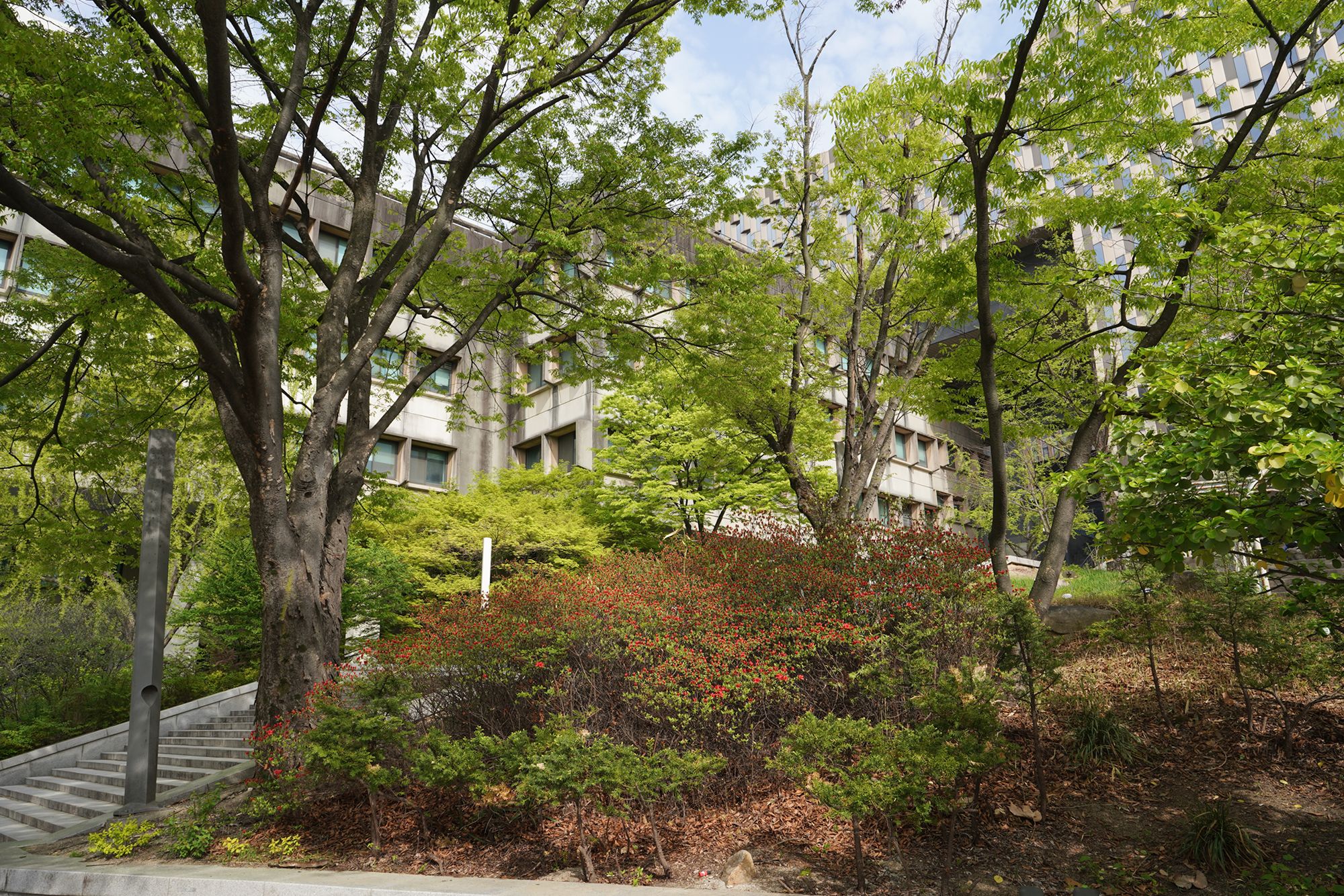 Seoul National University (15) Seoul National University (15)