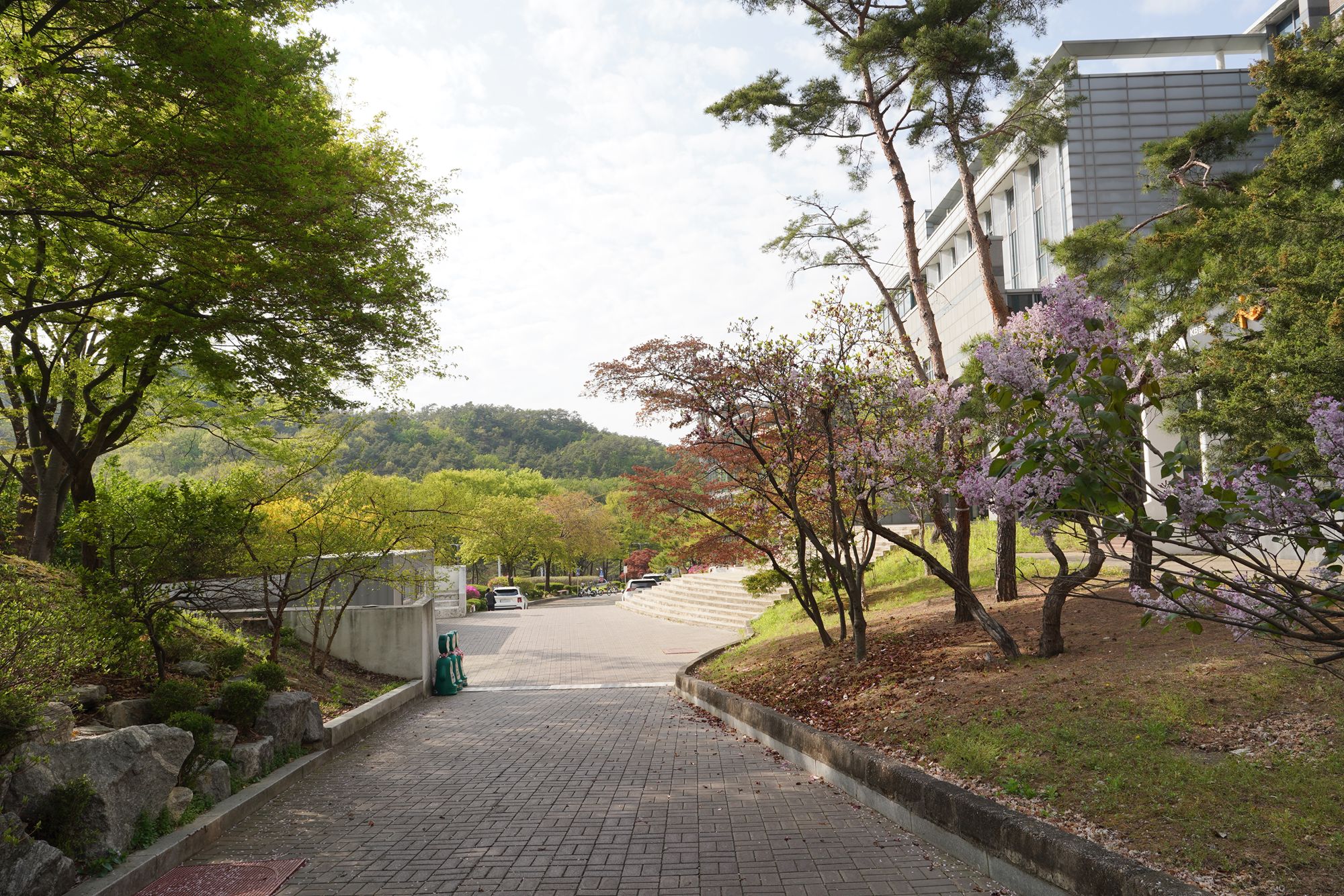 Seoul National University (40) Seoul National University (40)