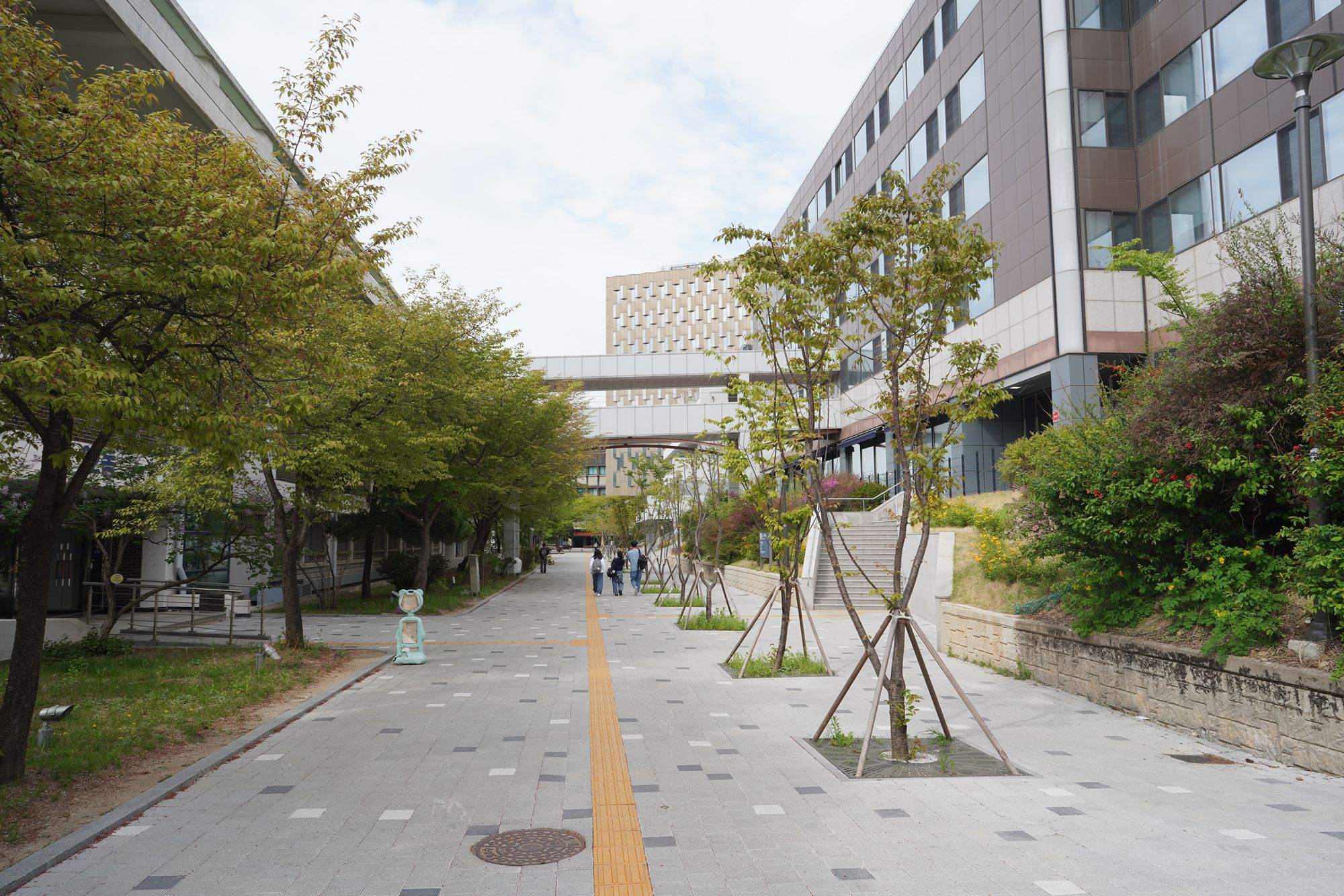 Seoul National University (6) Seoul National University (6)