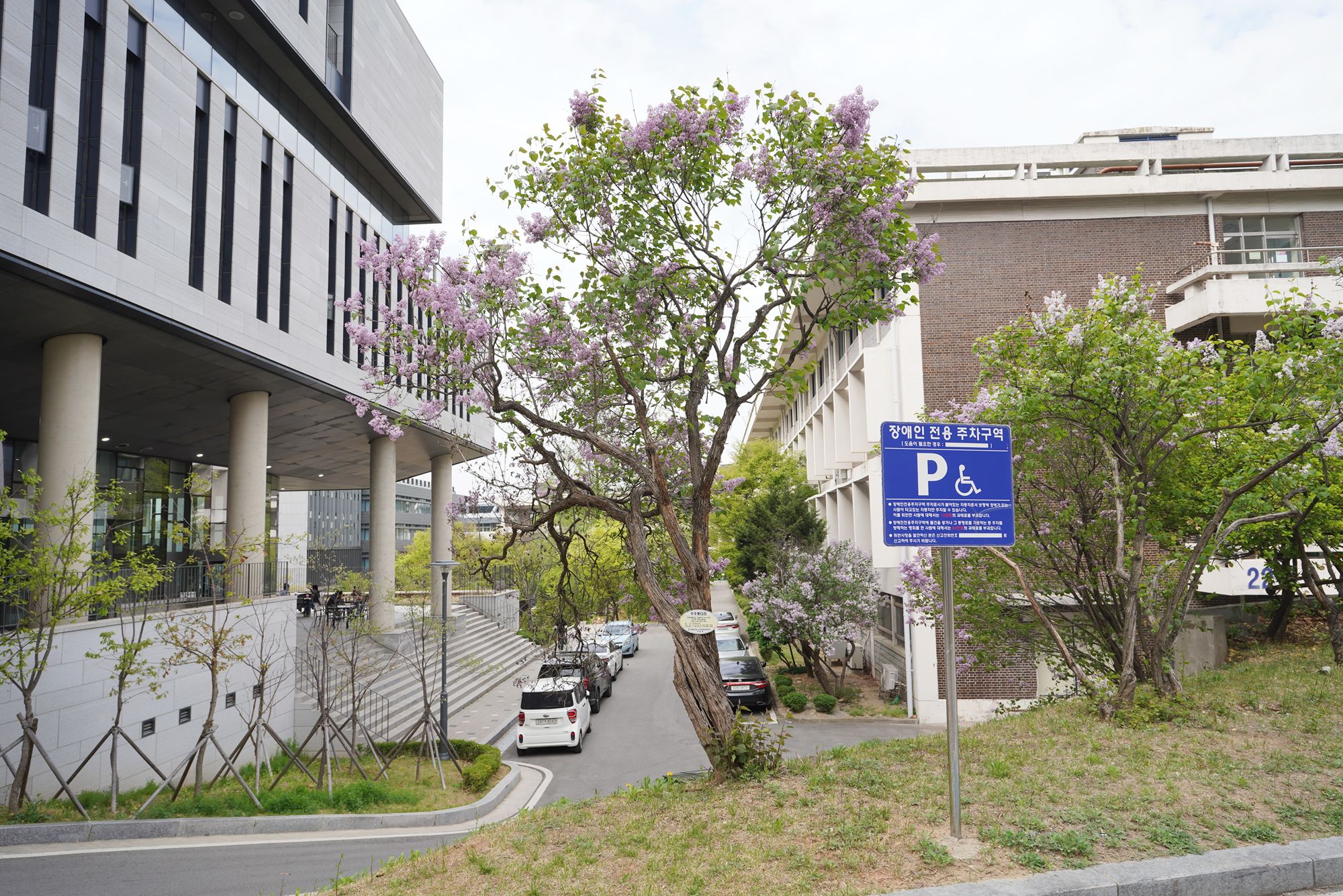 Seoul National University (8) Seoul National University (8)