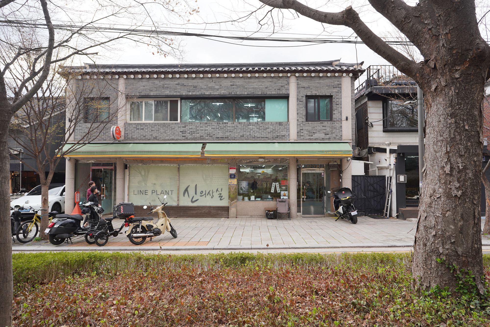 Seoul Uljiro Walk (118) Seoul Uljiro Walk (118)