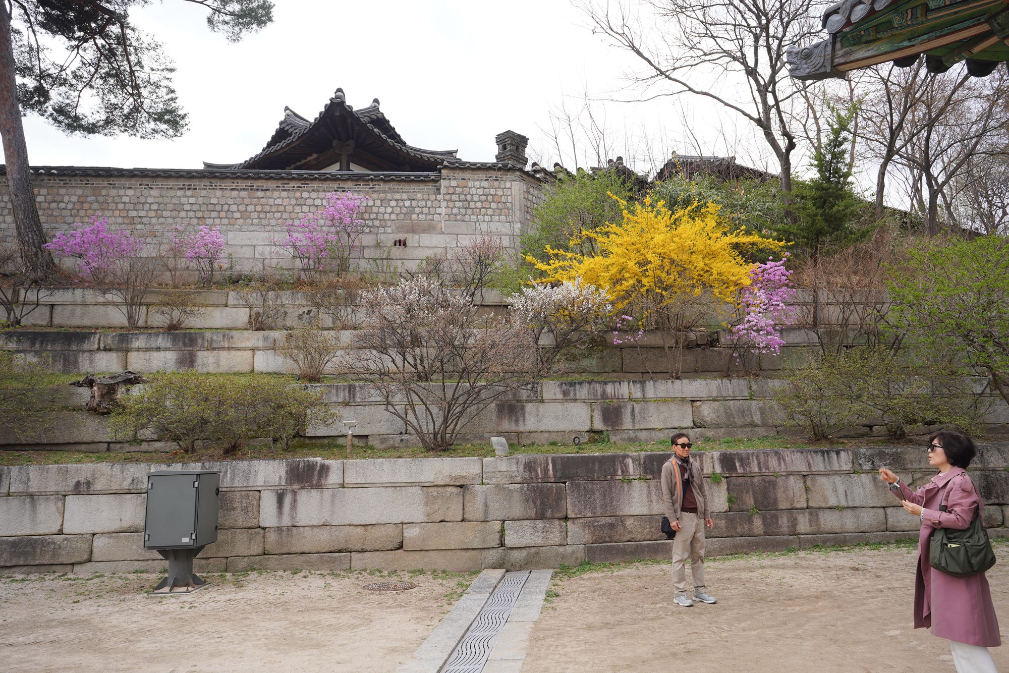 Seoul Uljiro Walk (164) Seoul Uljiro Walk (164)