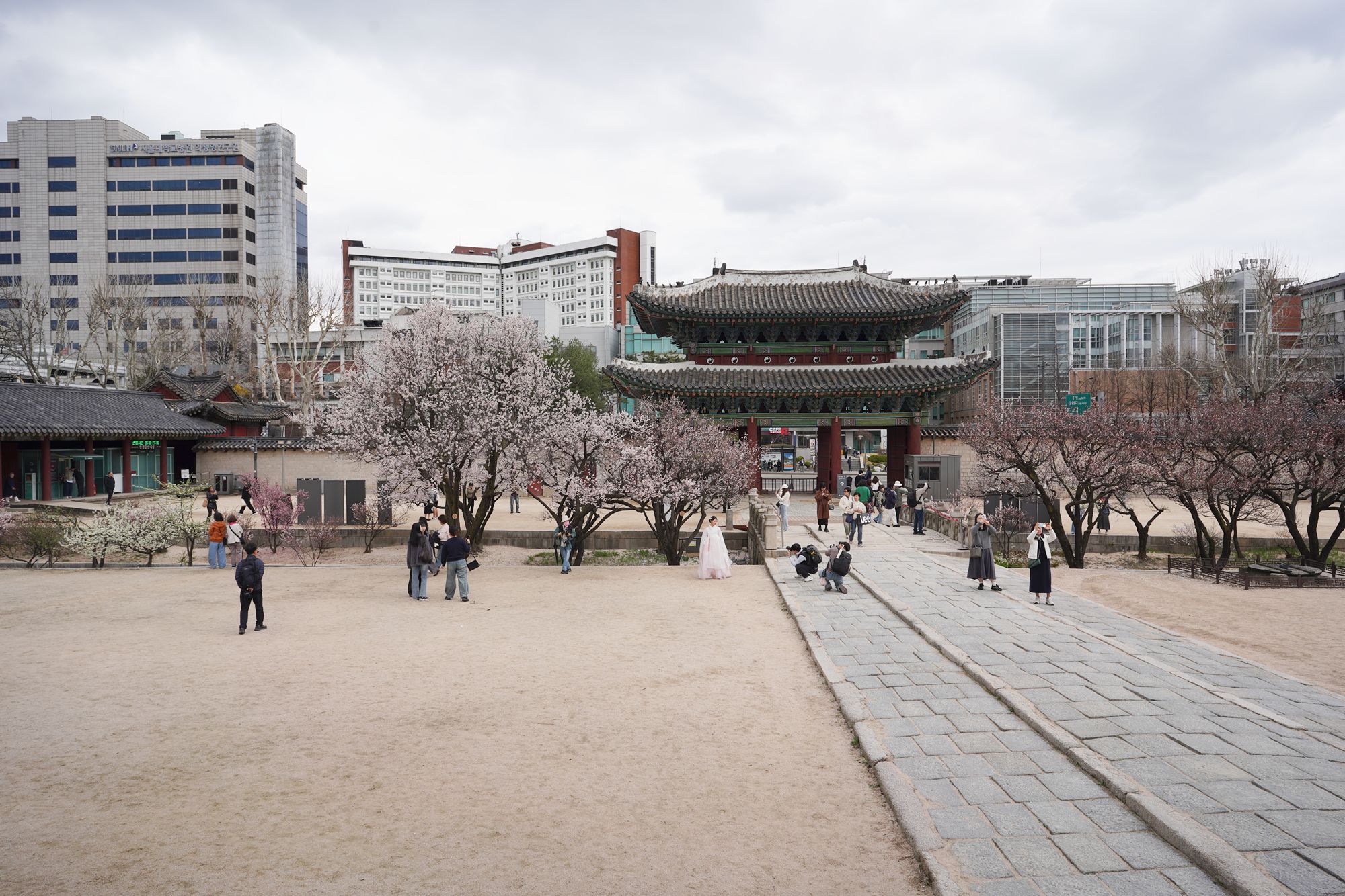 Seoul Uljiro Walk (178) Seoul Uljiro Walk (178)
