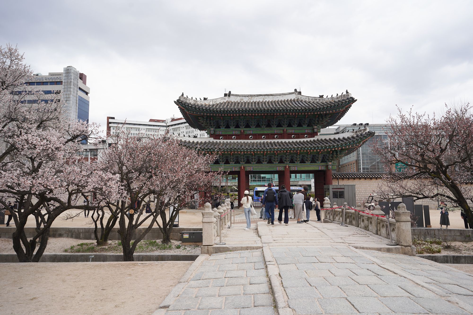 Seoul Uljiro Walk (179) Seoul Uljiro Walk (179)