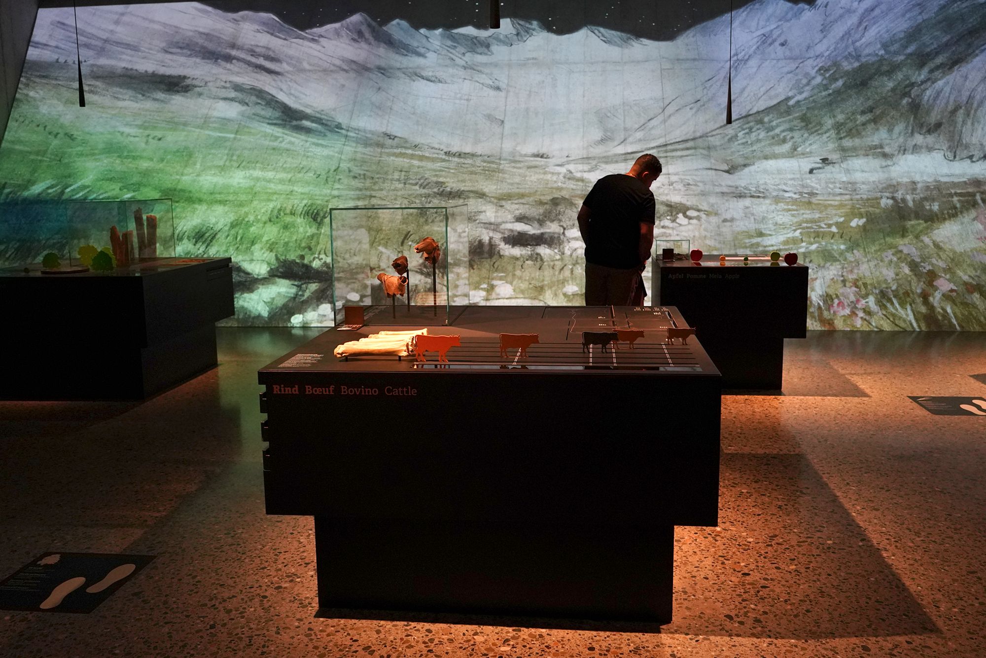 Swiss National Museum – History (17) Swiss National Museum – History (17)