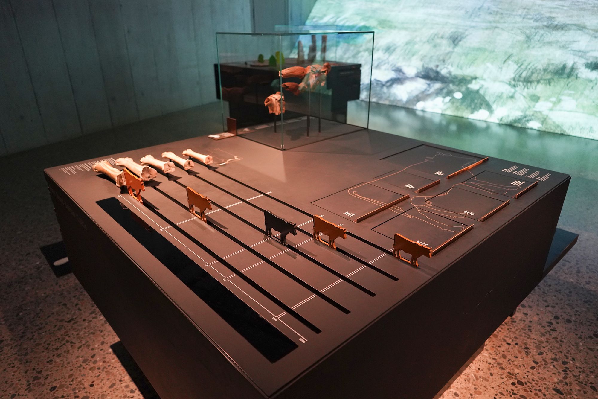 Swiss National Museum – History (19) Swiss National Museum – History (19)