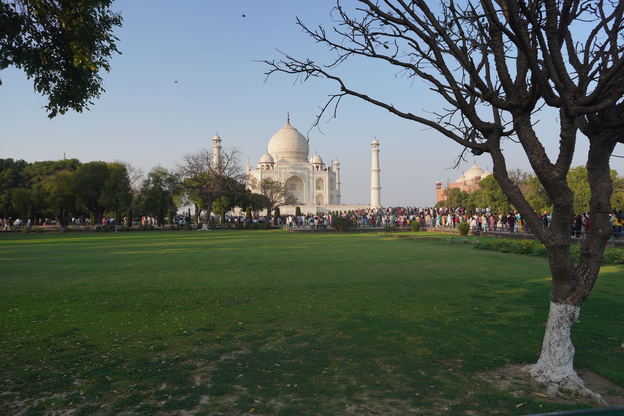 Taj Mahal (31) Taj Mahal (31)