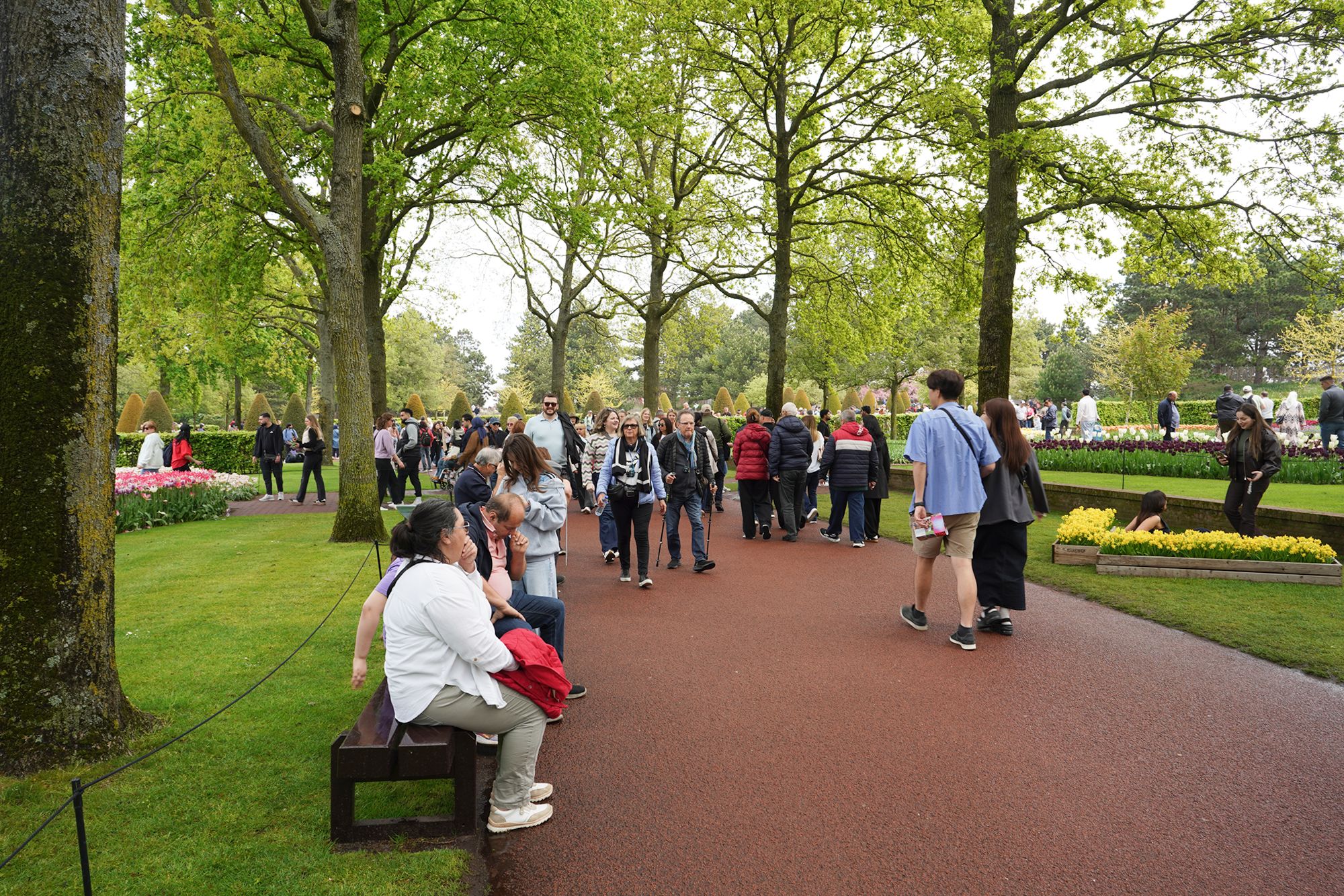 Tulip Garden I (12)