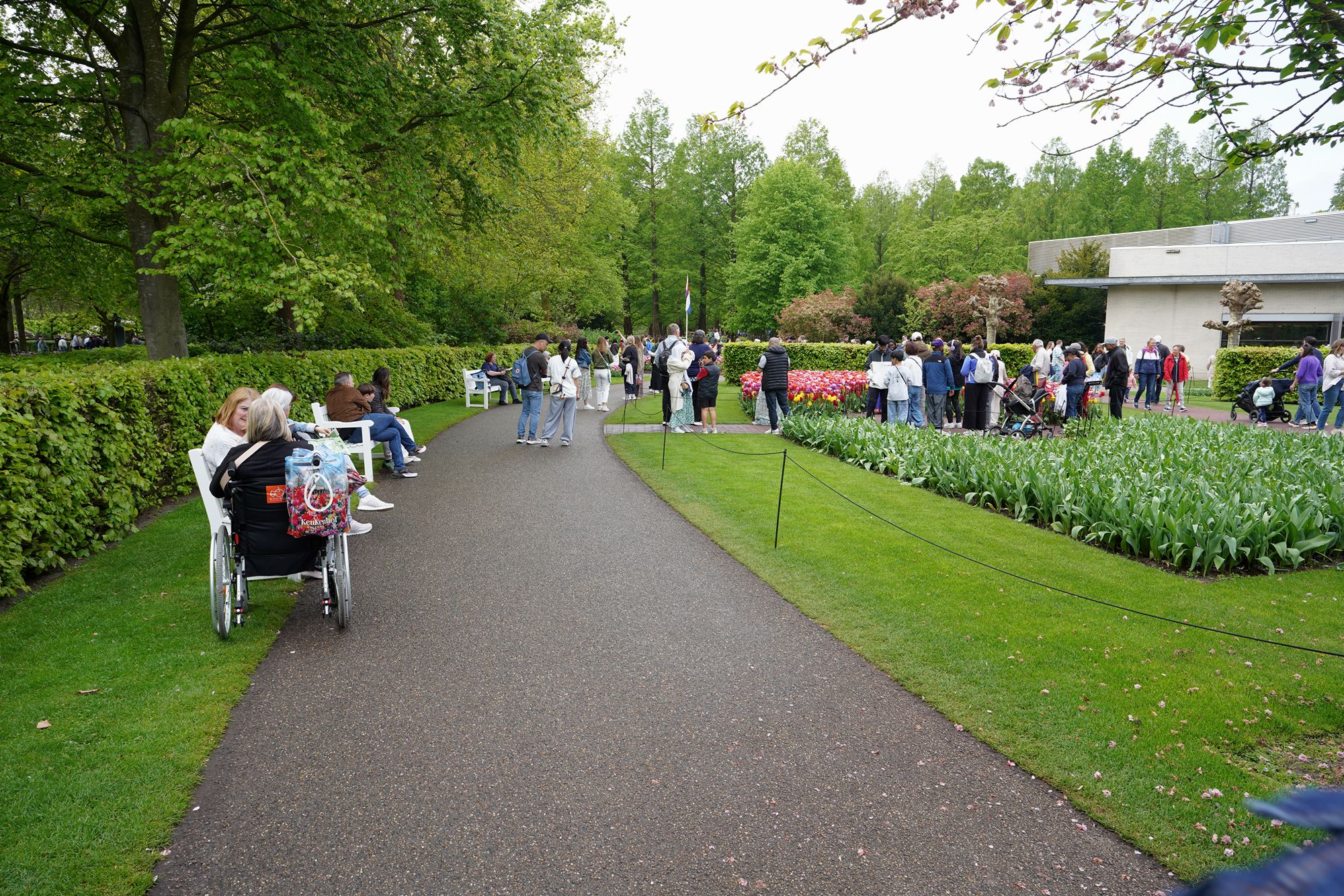 Tulip Garden I (16)