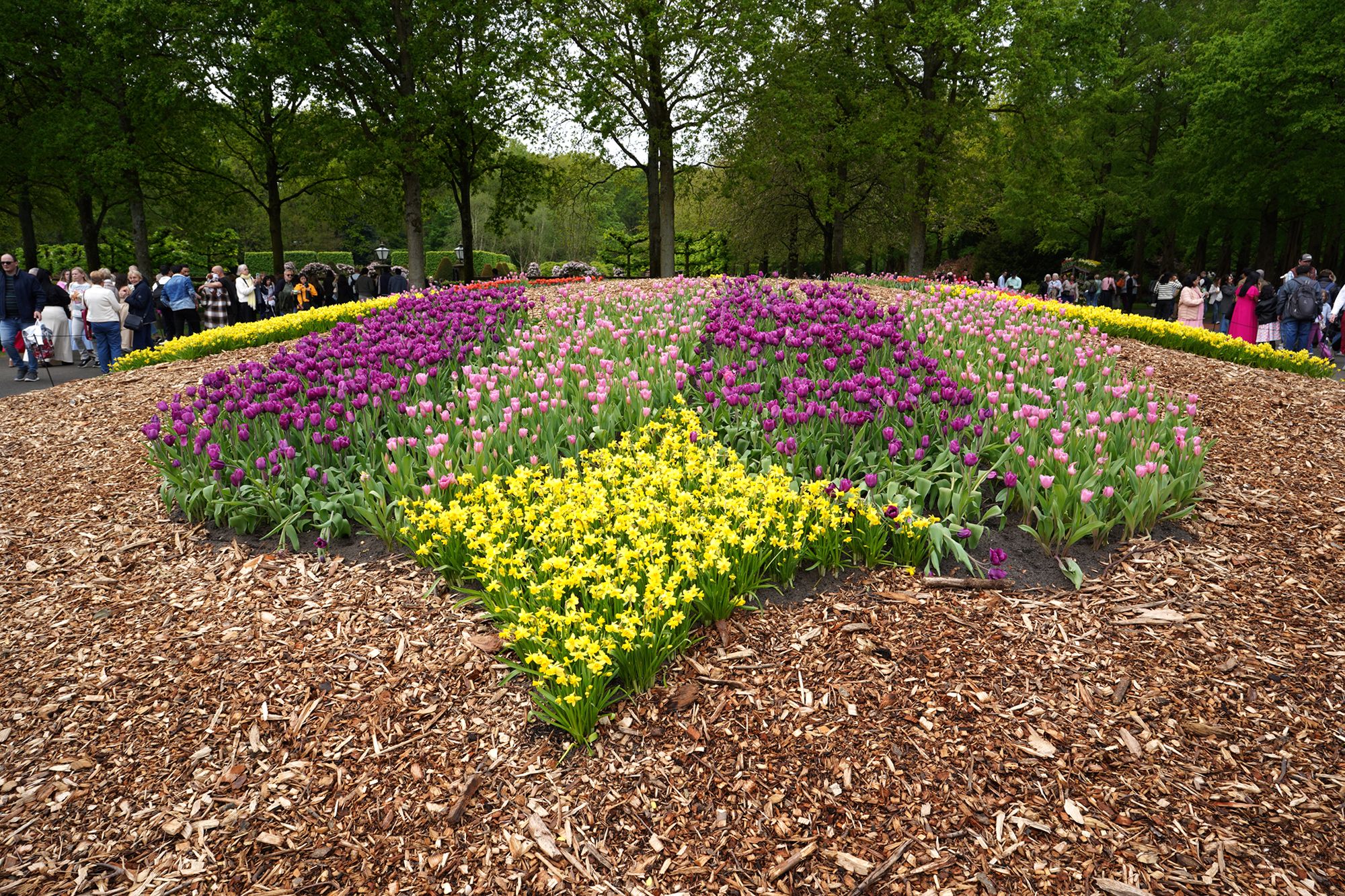 Tulip Garden I (2)