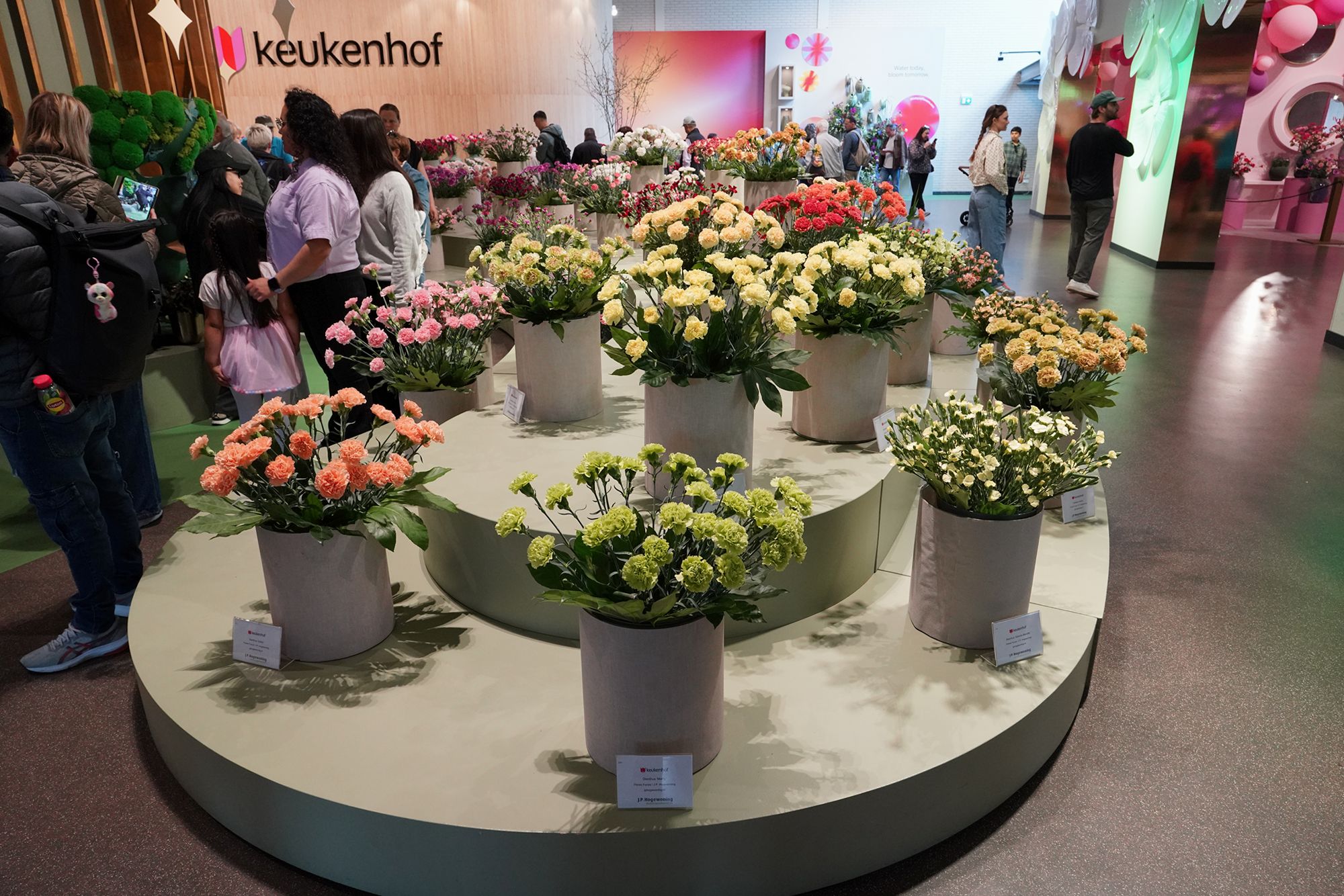 Tulip Garden I (22)