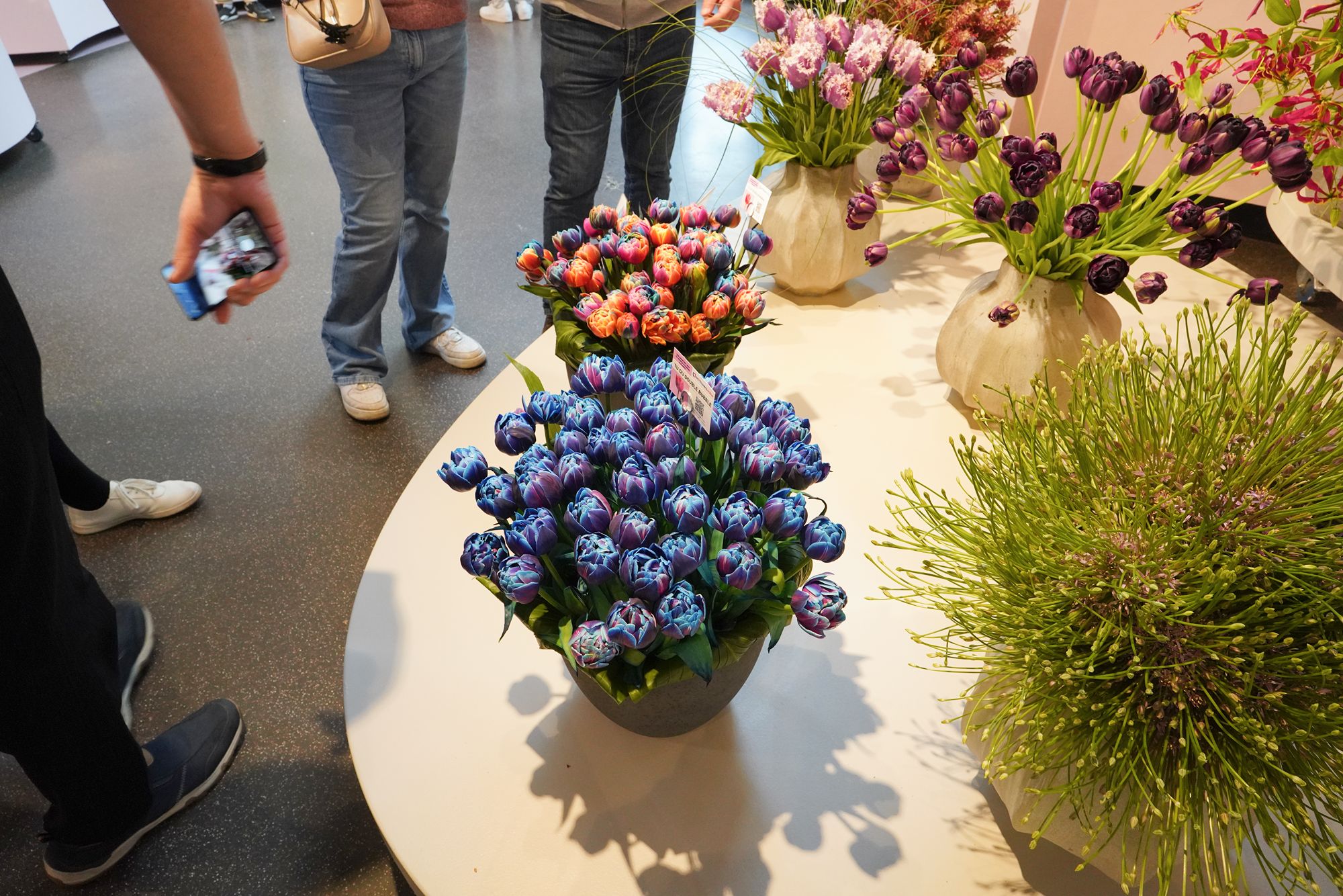 Tulip Garden I (35)