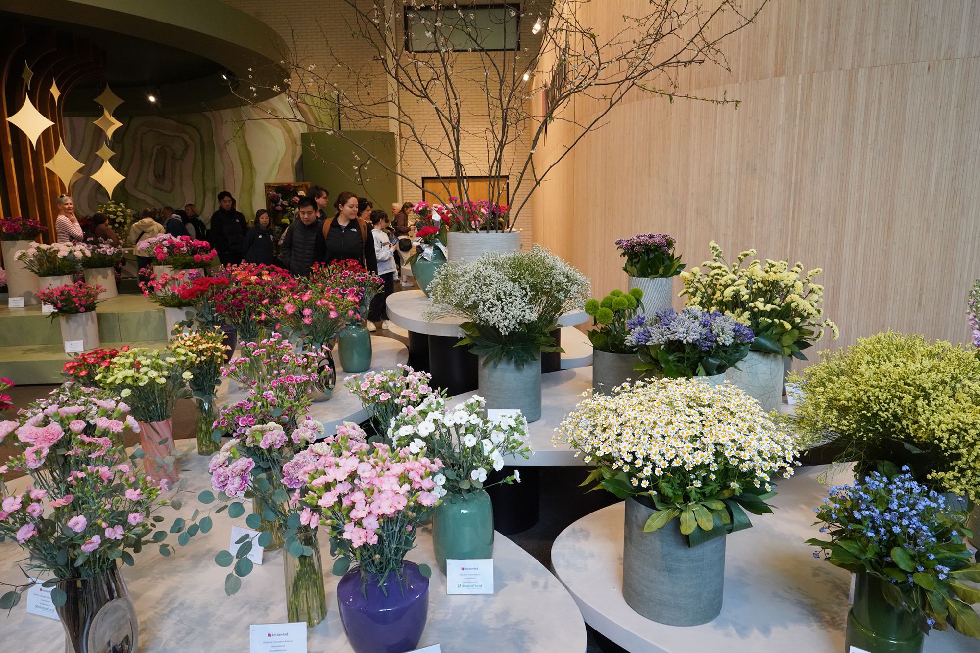 Tulip Garden I (37)