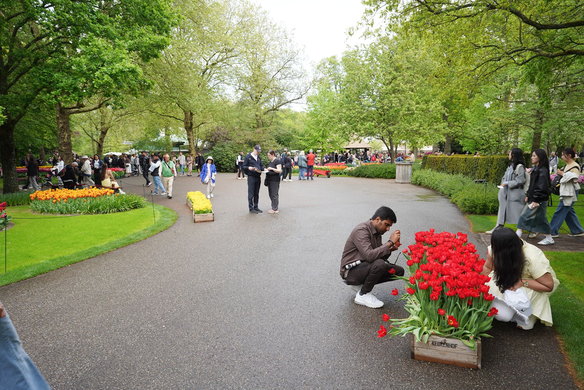 Tulip Garden I (38)