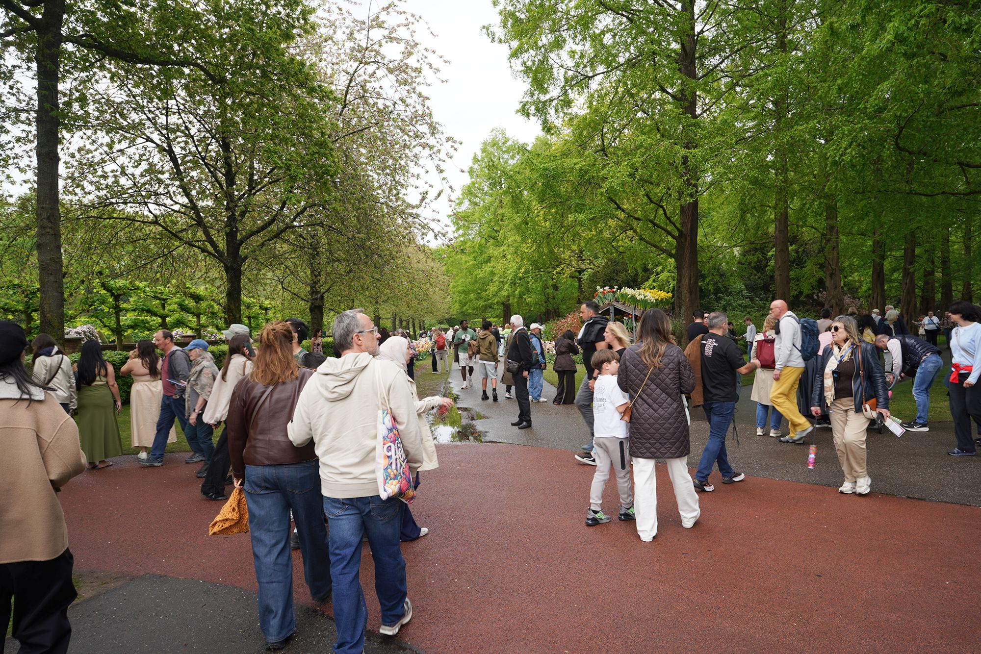 Tulip Garden I (4)