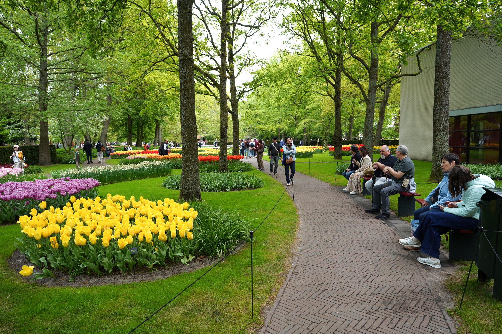 Tulip Garden I (40)