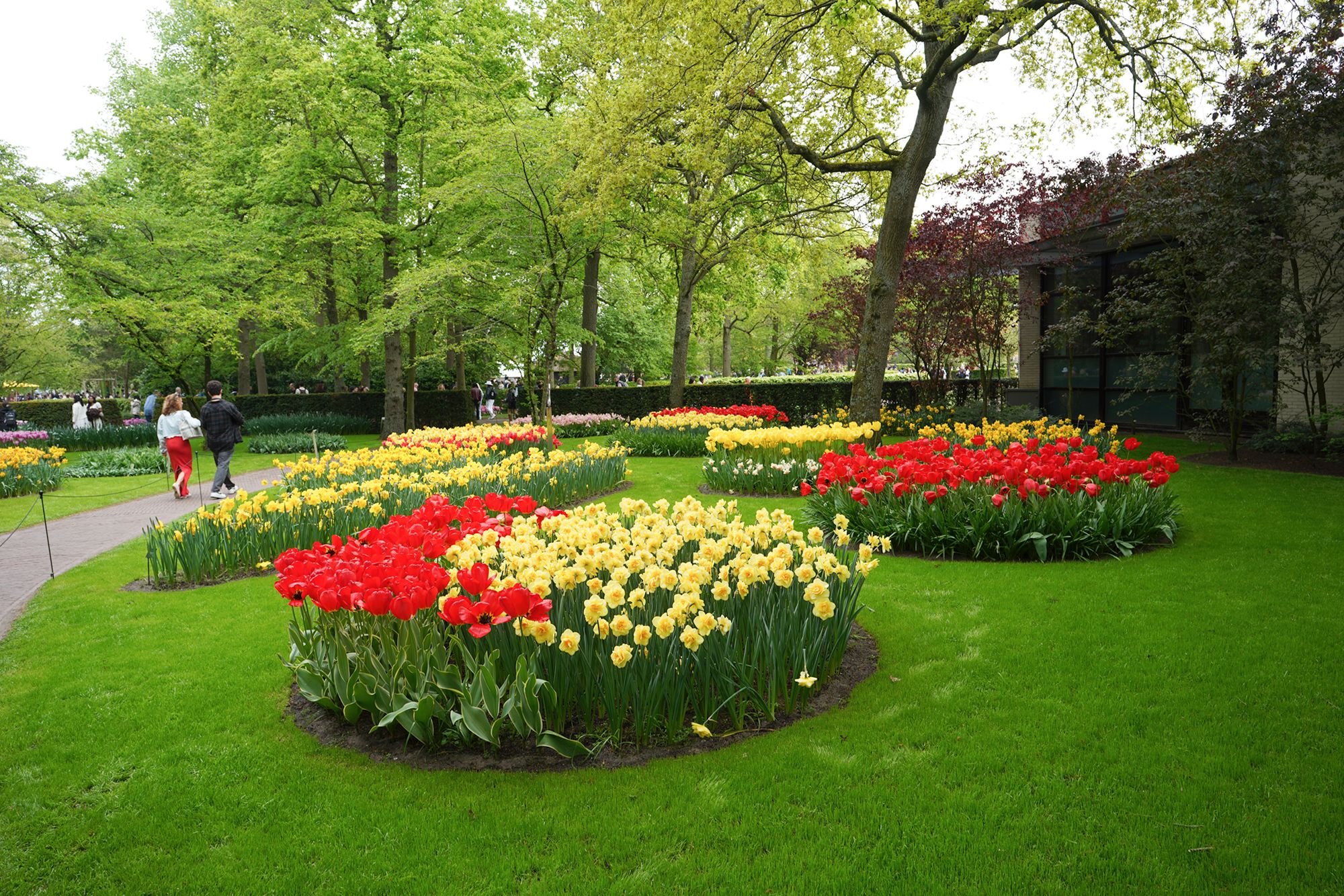 Tulip Garden I (42)