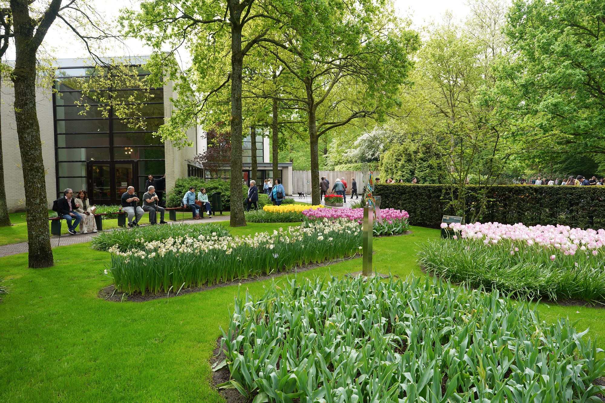 Tulip Garden I (43)