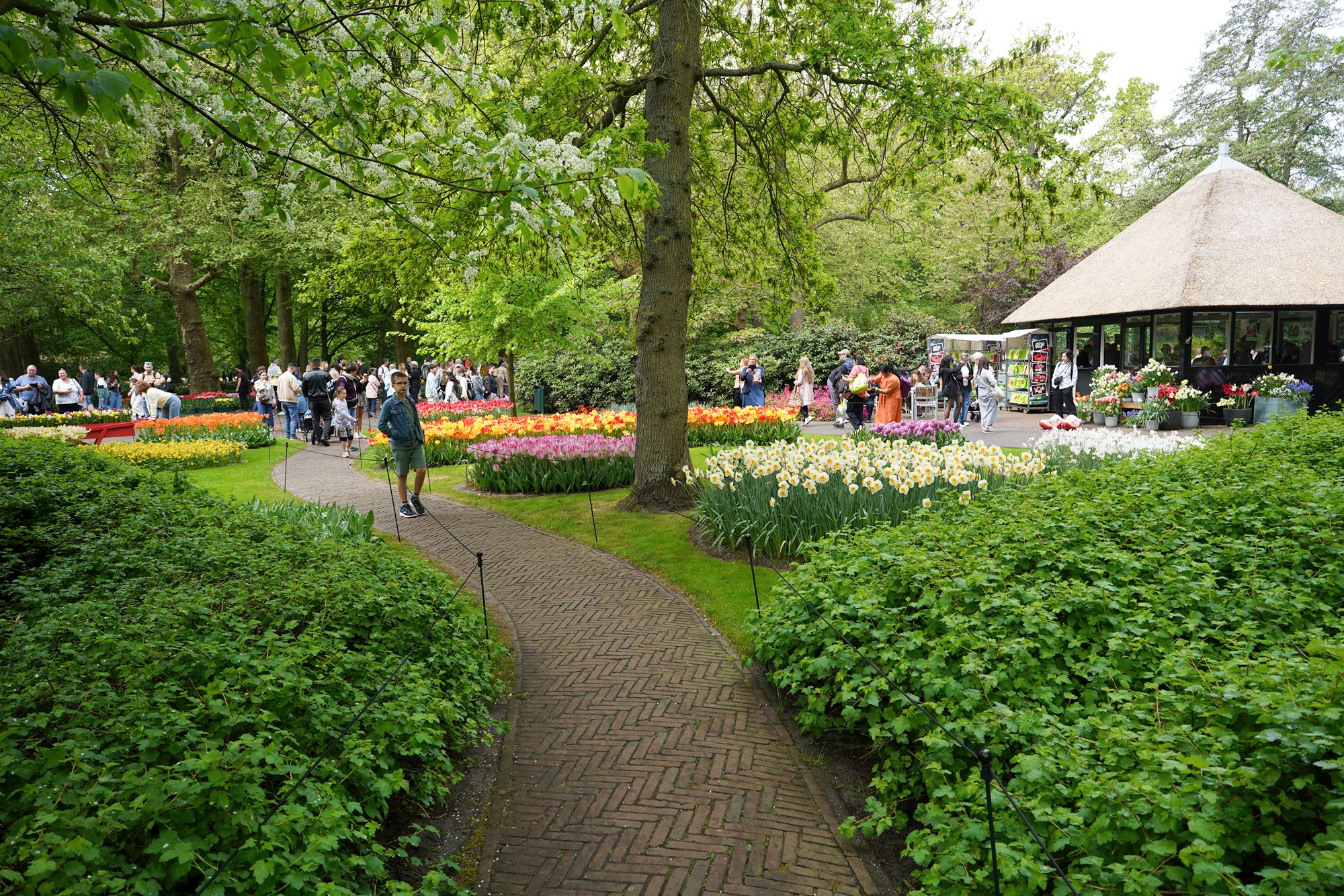 Tulip Garden I (45)
