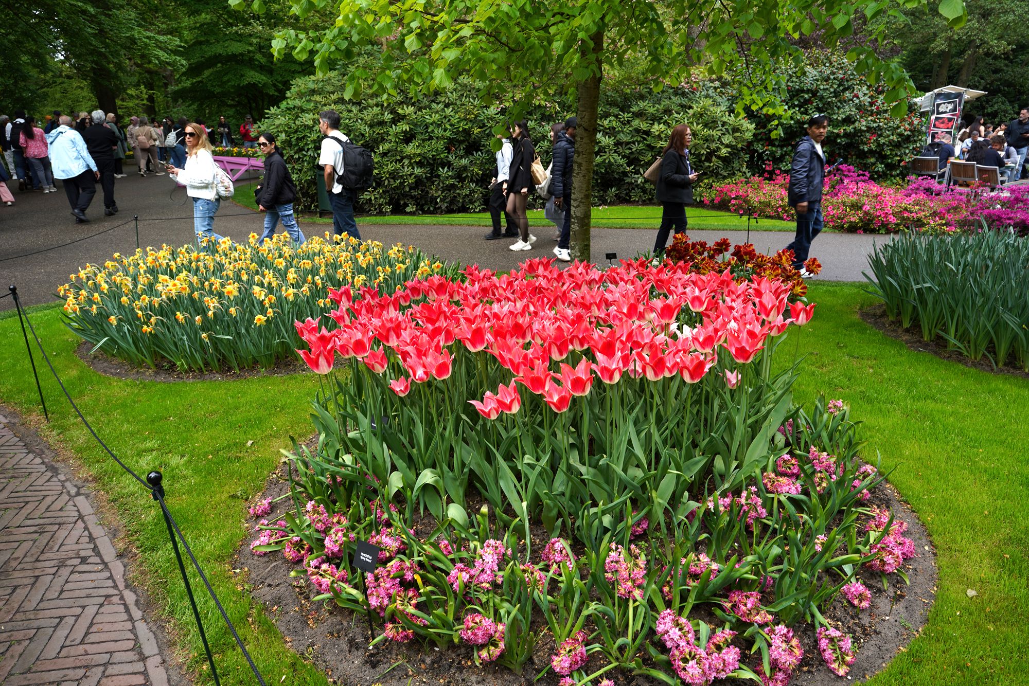 Tulip Garden I (48)