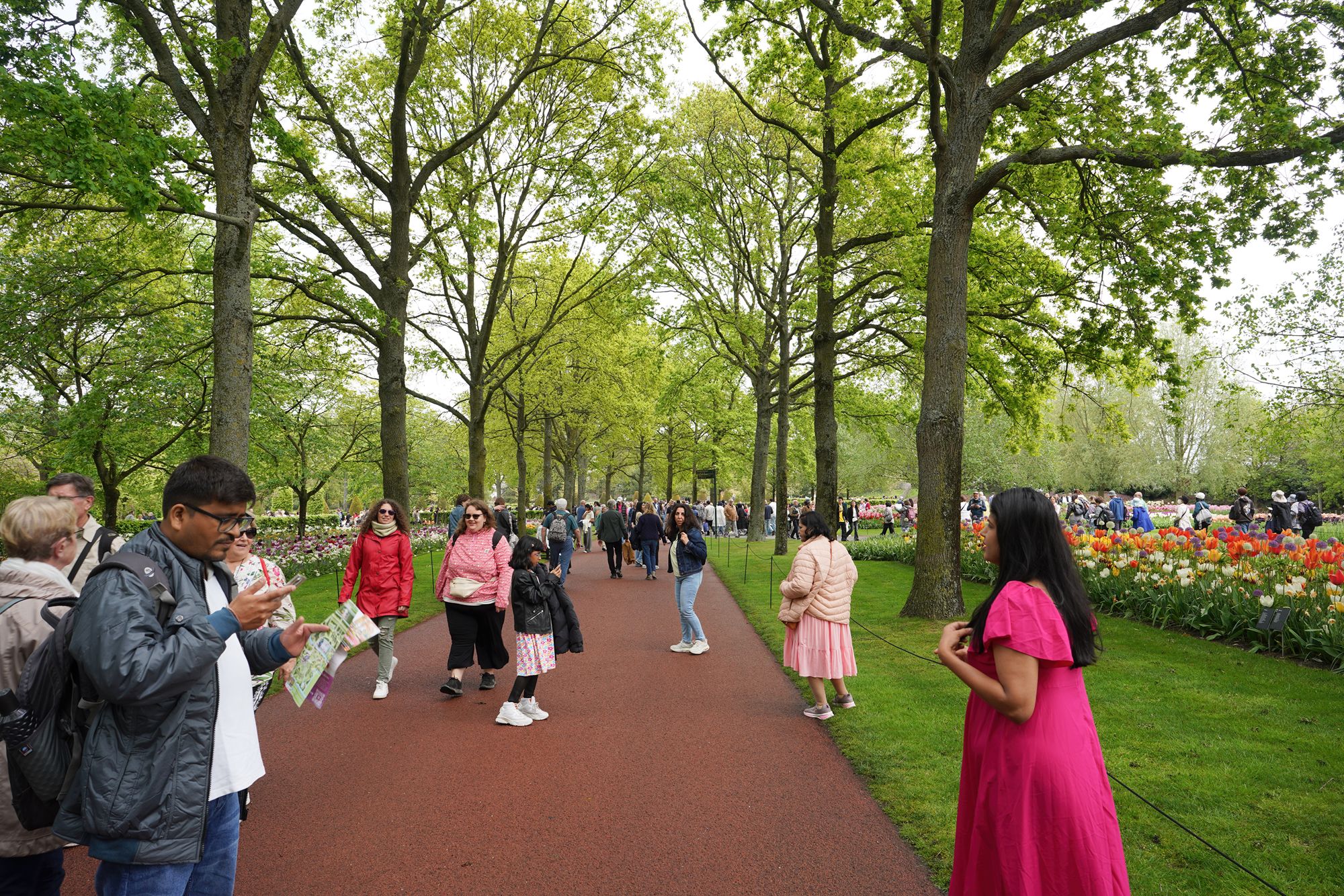 Tulip Garden I (5)