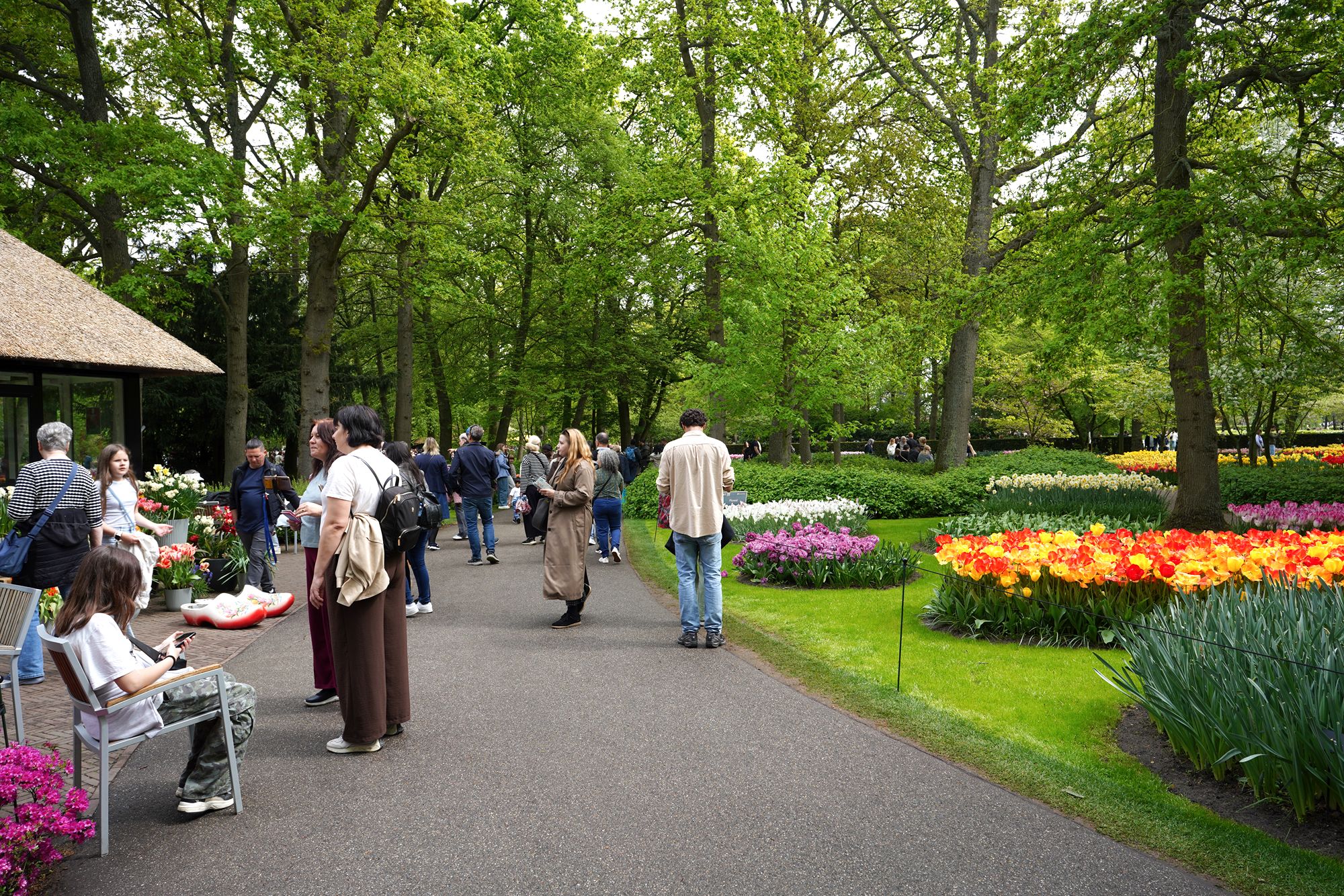 Tulip Garden I (50)