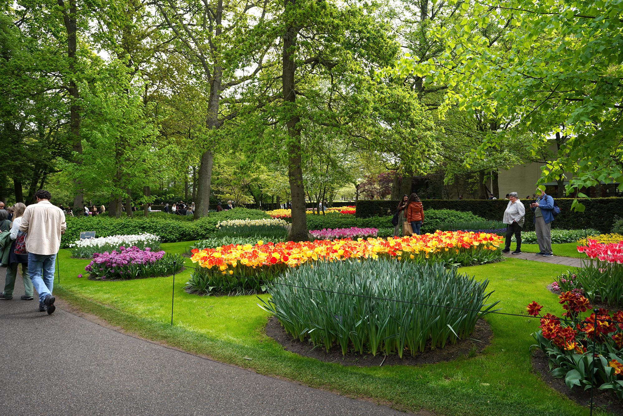 Tulip Garden I (51)